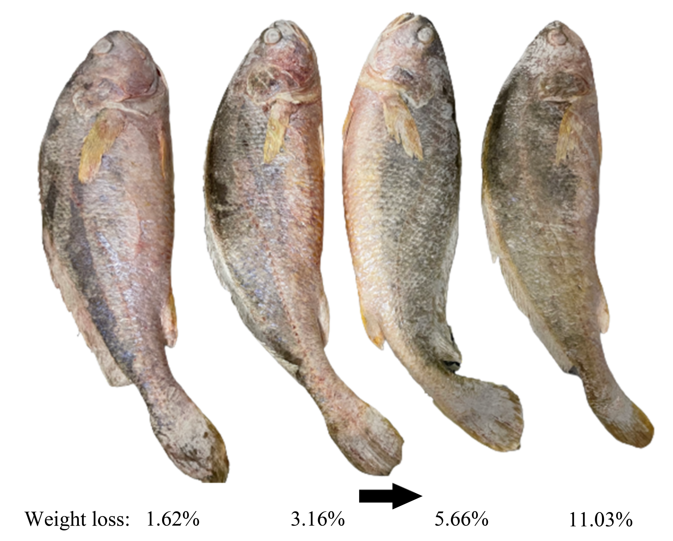 Crystals 11 00068 g004