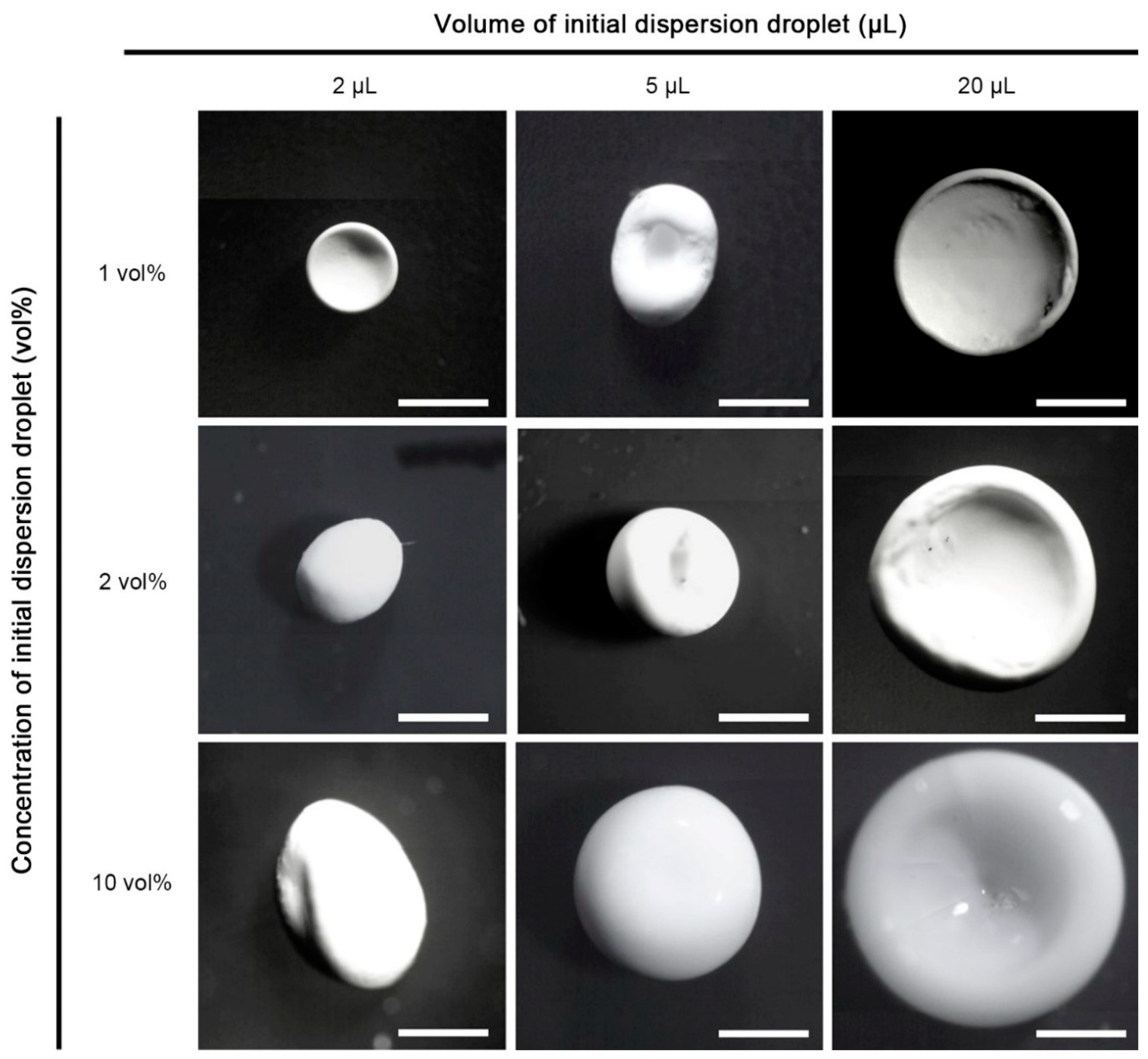 Crystals 11 00079 g004