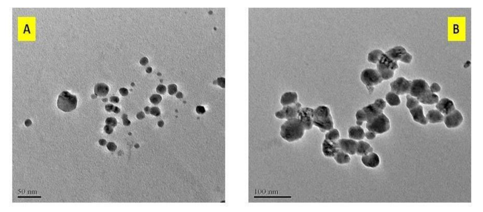 Crystals 11 00088 g002