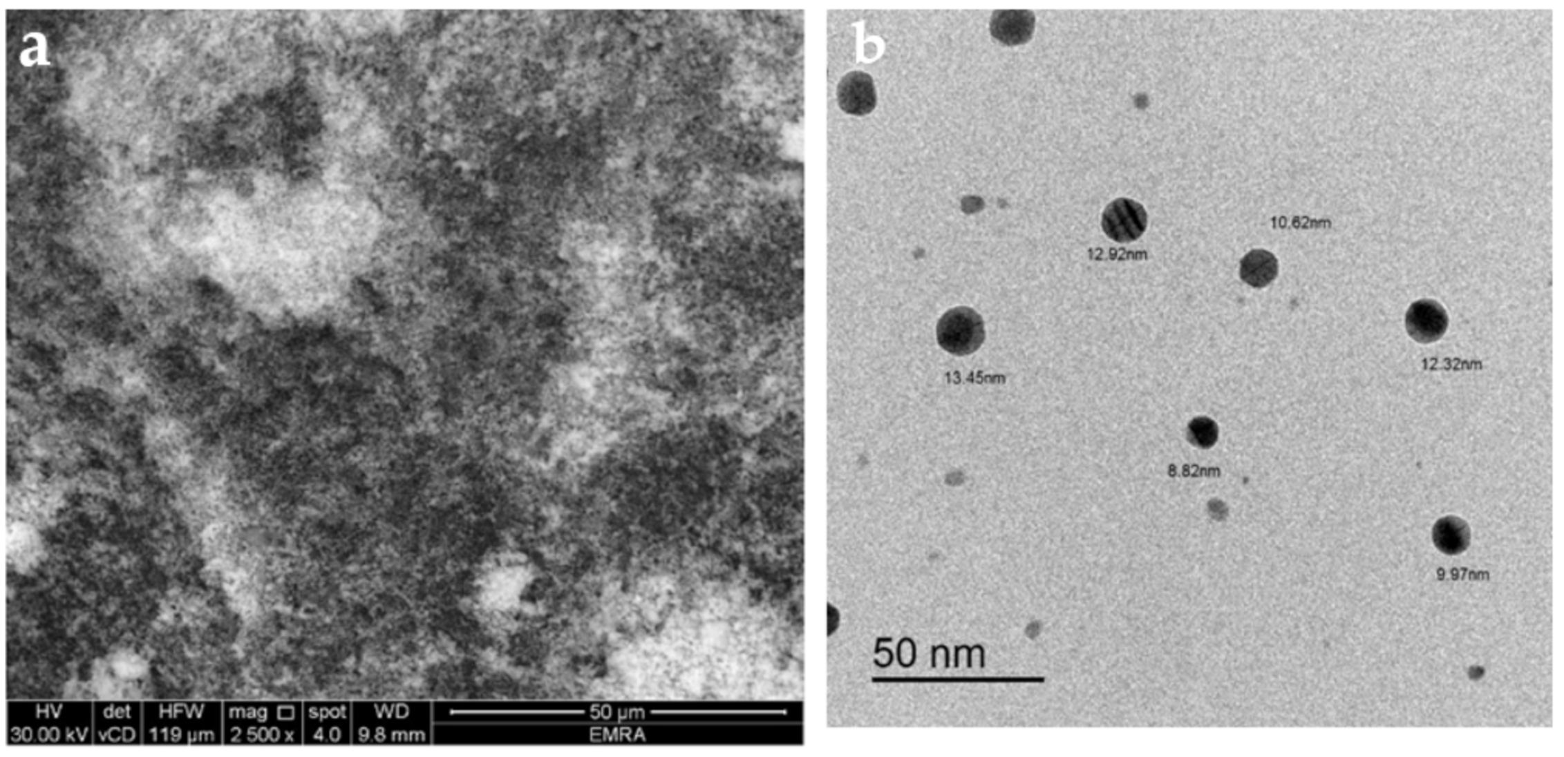 Crystals 11 00092 g005 Crystals 11 00092 g005