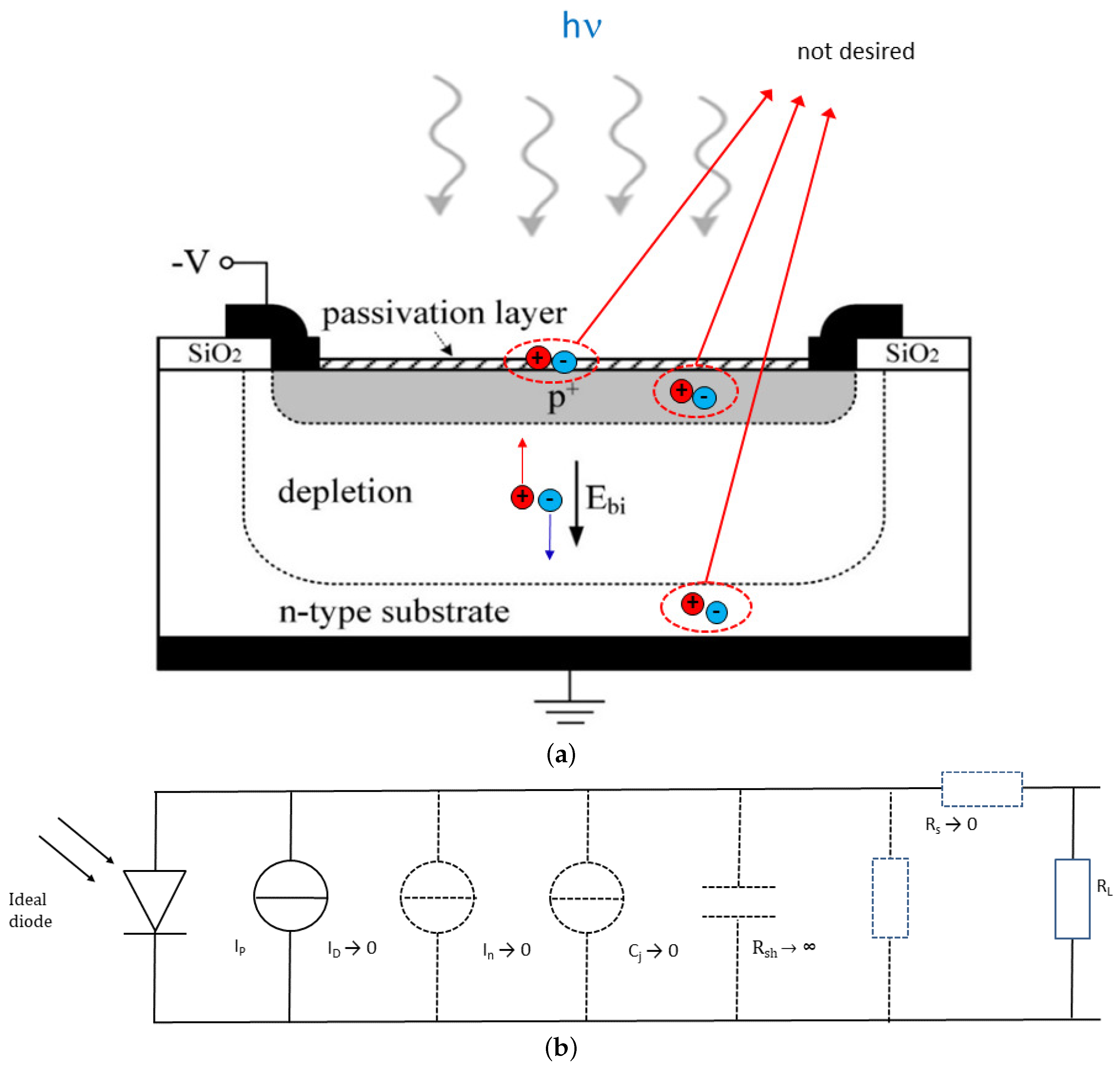 Crystals 11 00108 g002 Crystals 11 00108 g002