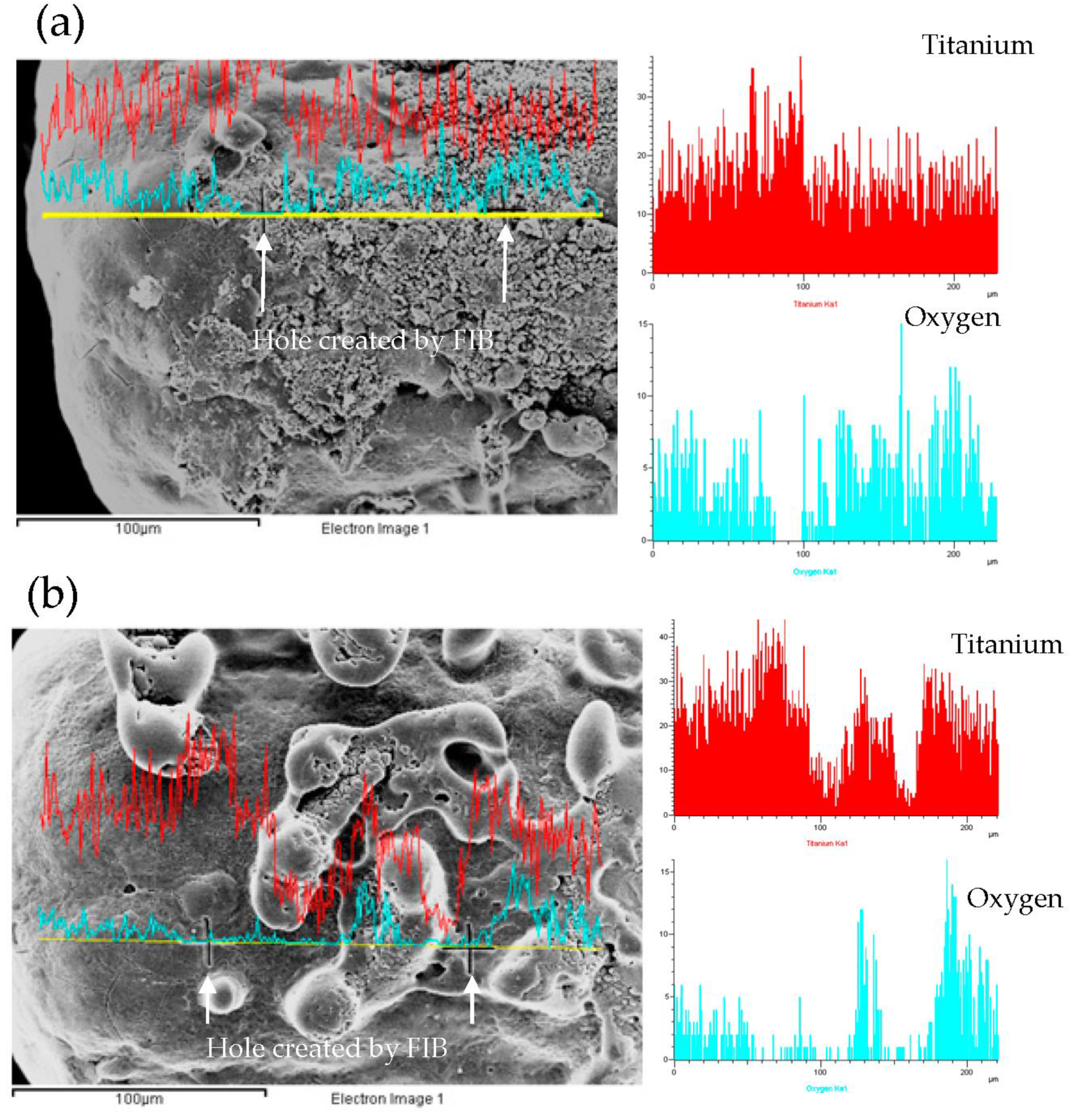 Crystals 11 00140 g006