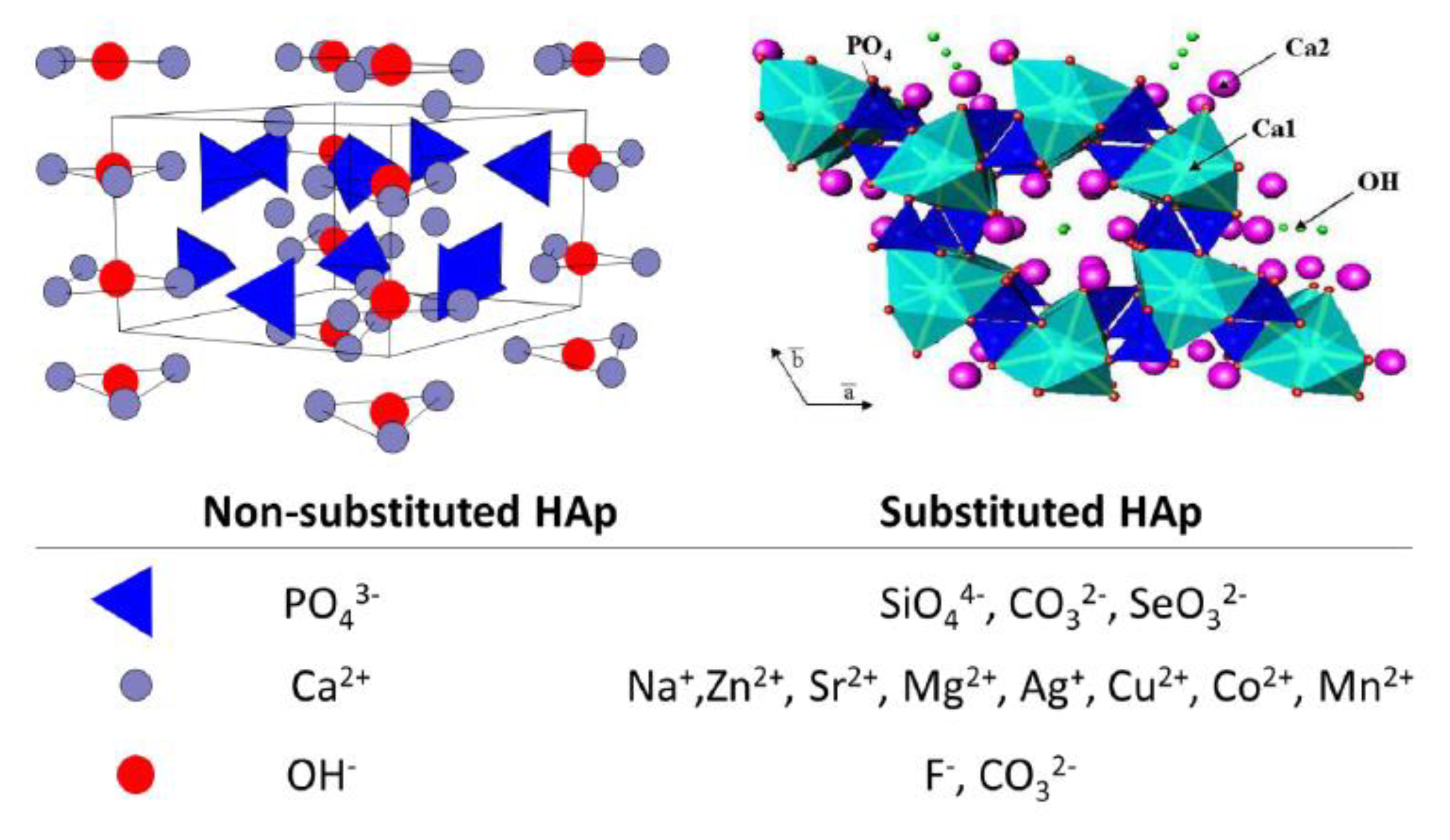 Crystals Free FullText Hydroxyapatite Based Materials for Bone