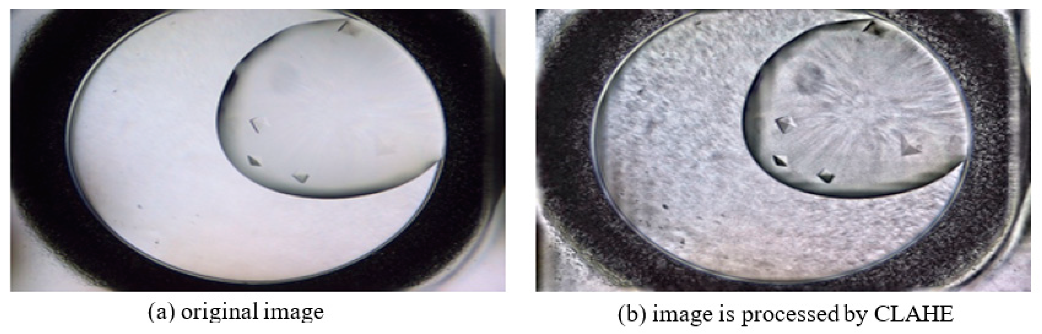 Crystals 11 00157 g002 Crystals 11 00157 g002