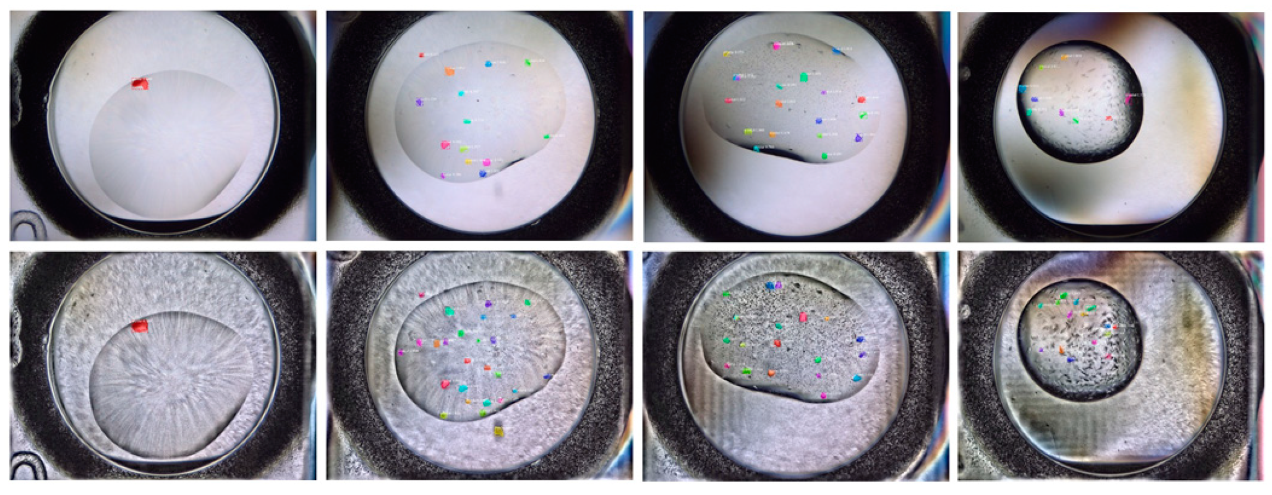 Crystals 11 00157 g006 Crystals 11 00157 g006