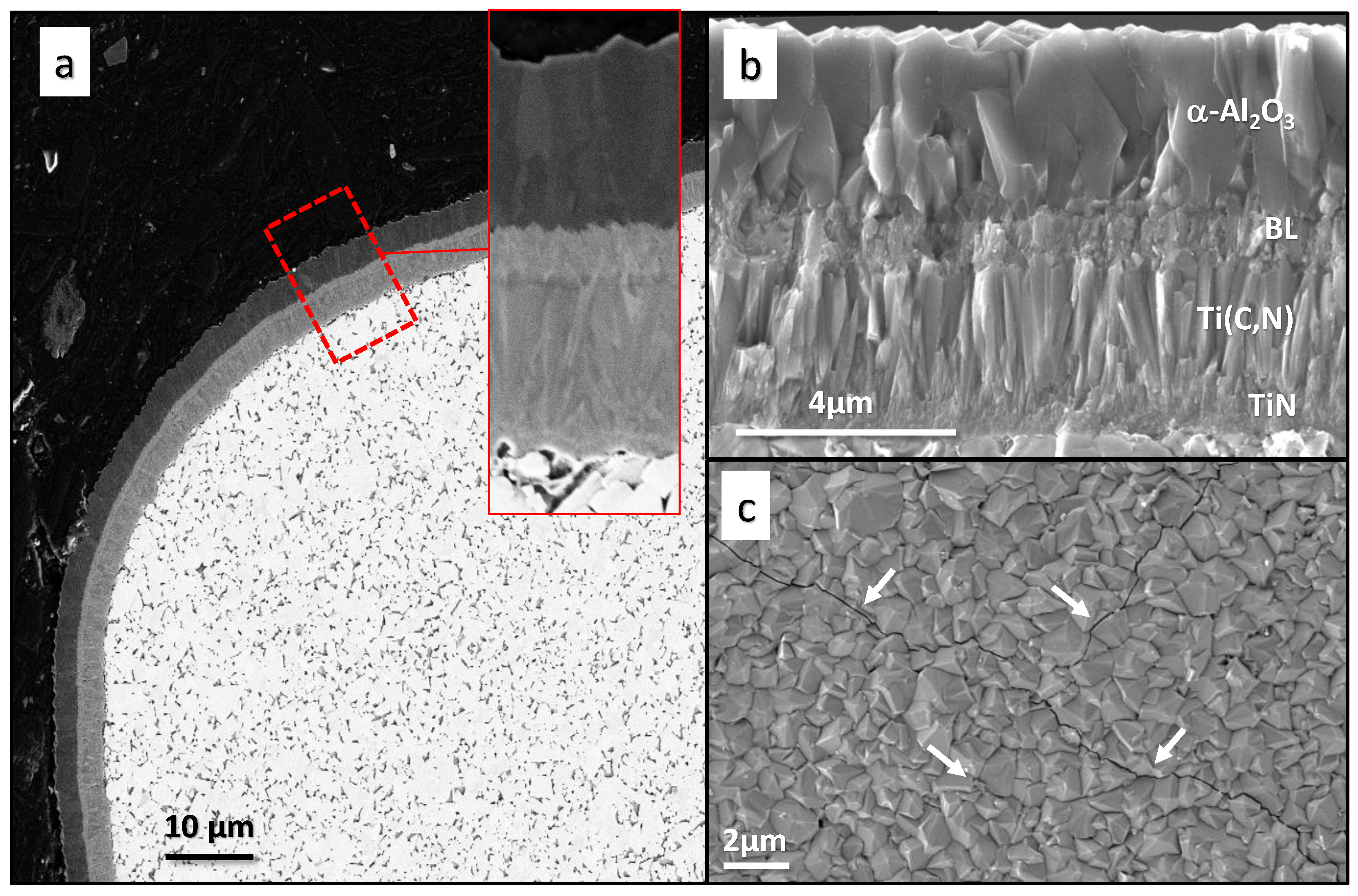 Crystals 11 00158 g001