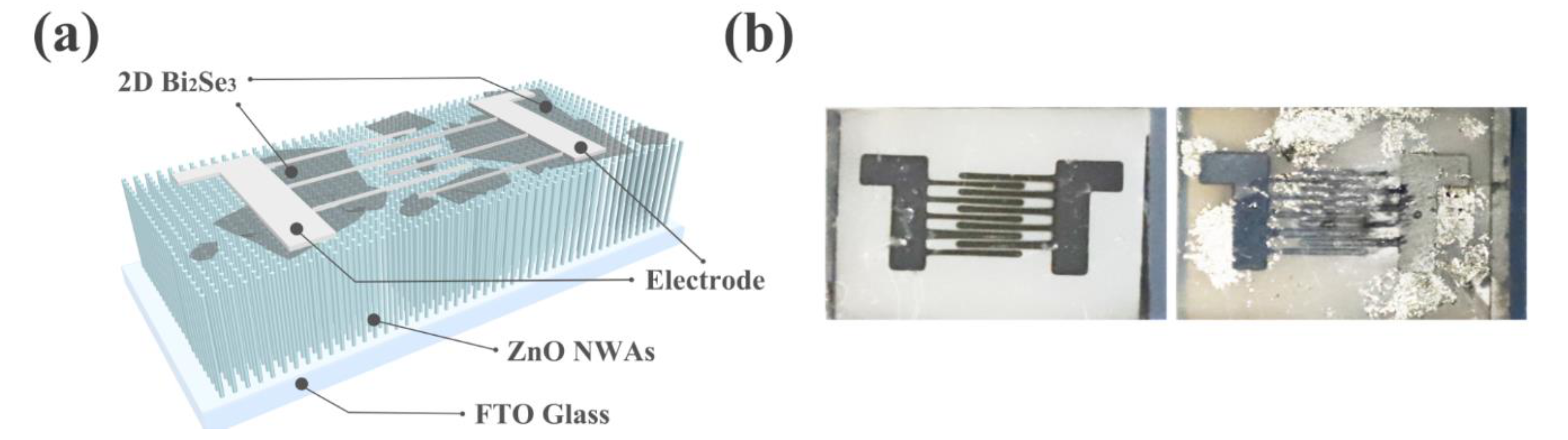 Broadband Detection Based on 2D Bi2Se3/ZnO Nanowire