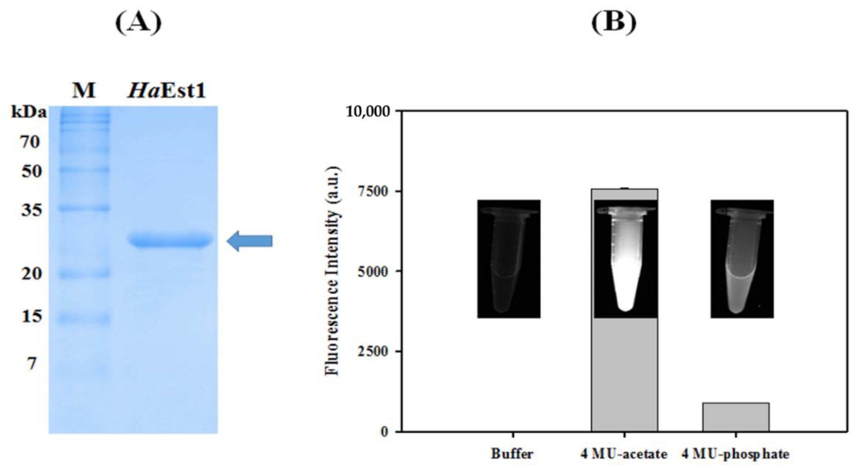 Crystals 11 00170 g002 Crystals 11 00170 g002