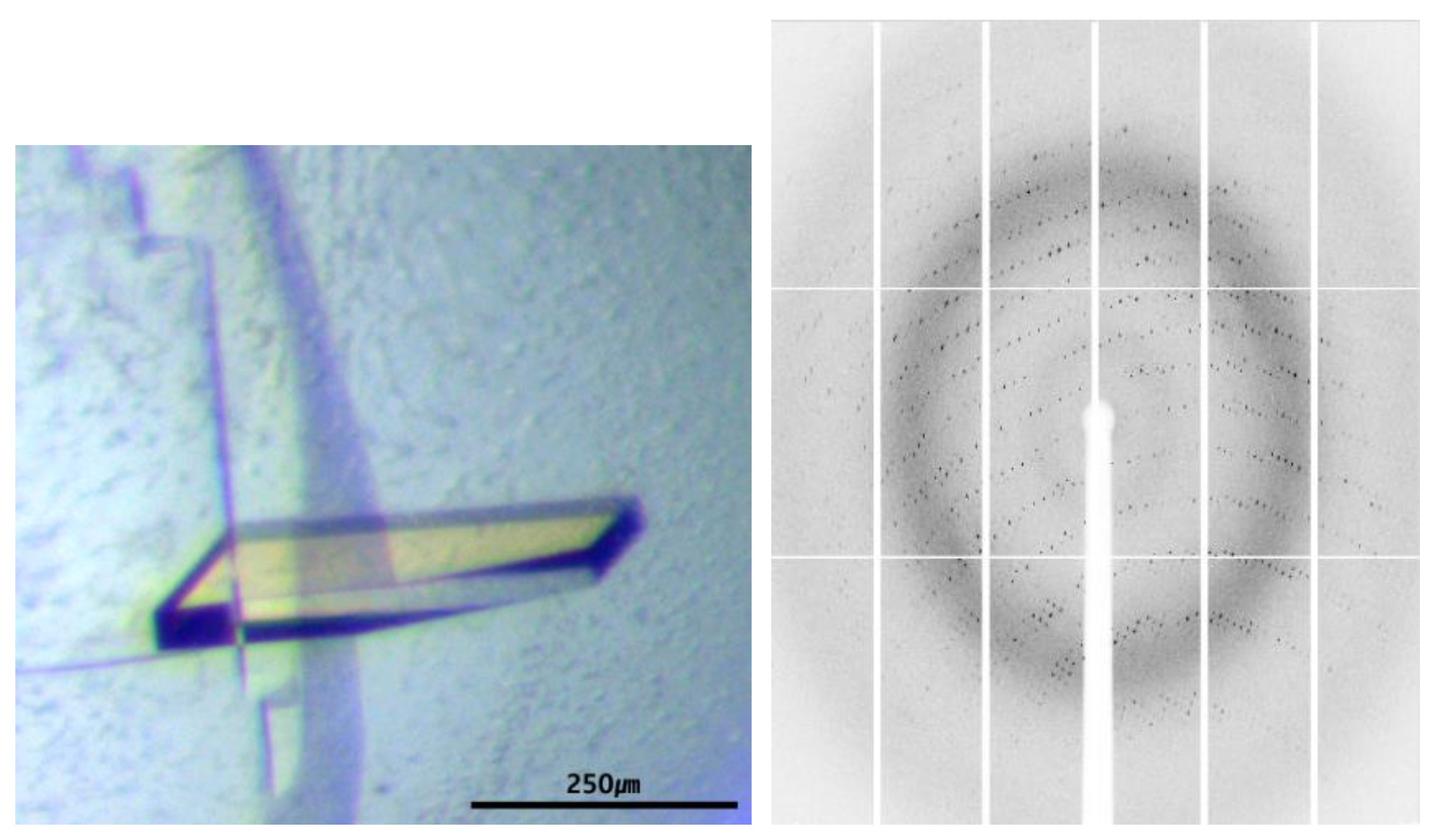 Crystals 11 00170 g003 Crystals 11 00170 g003