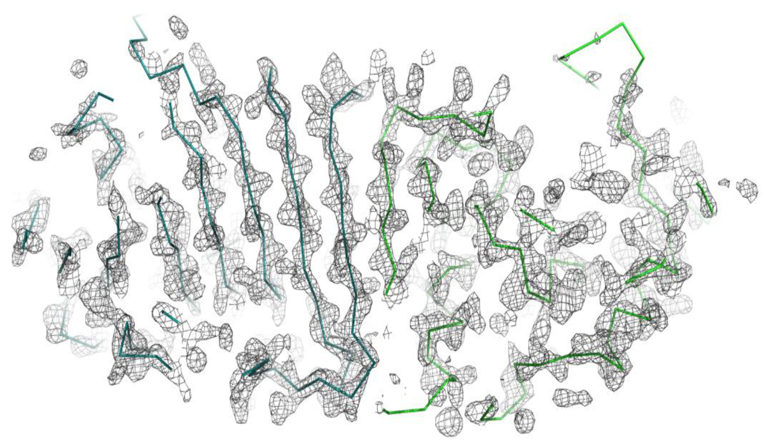 Crystals 11 00170 g004 Crystals 11 00170 g004
