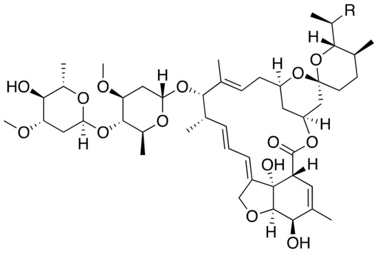 Ama, Geo G. Wiki