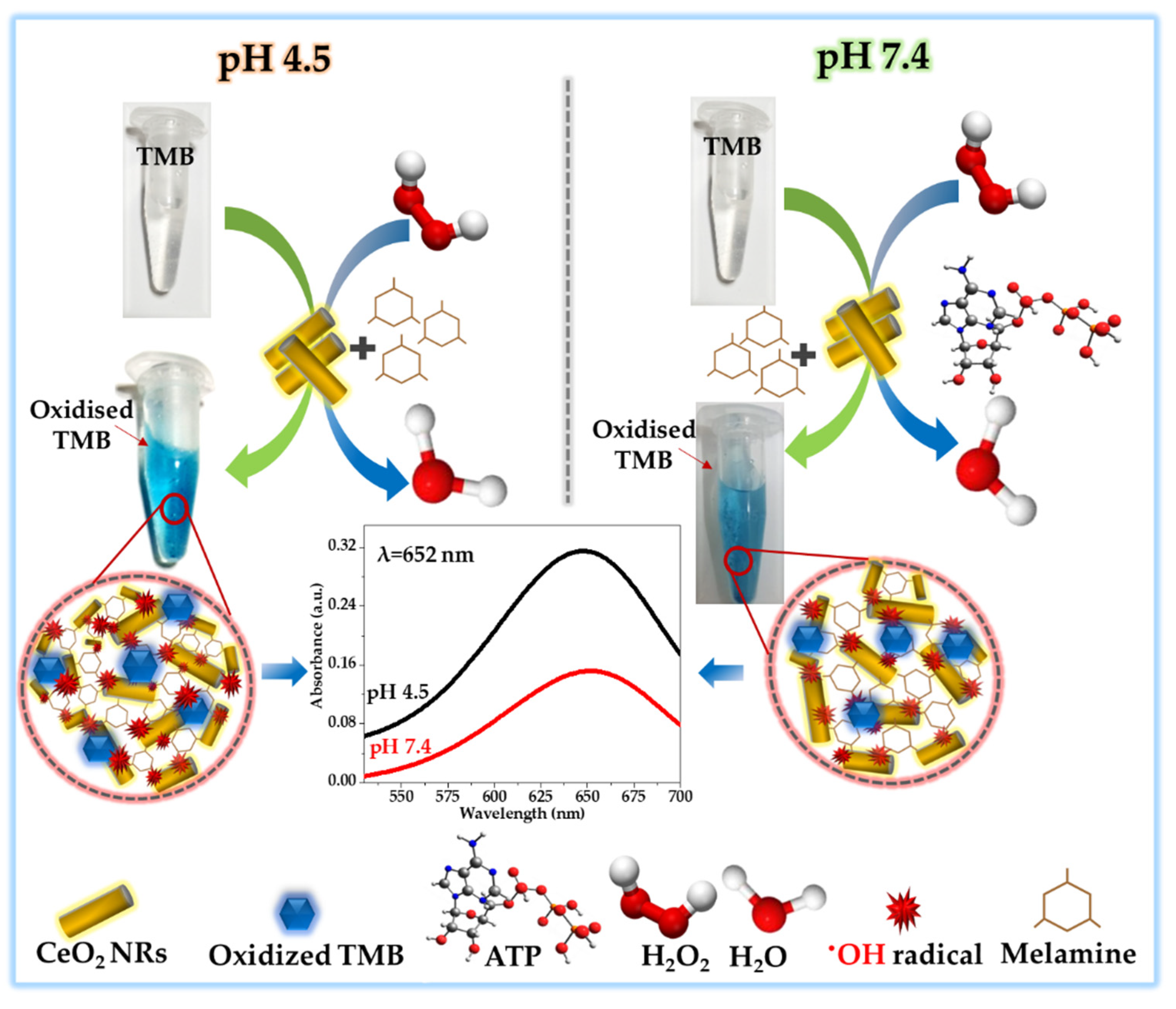 Crystals 11 00178 g006