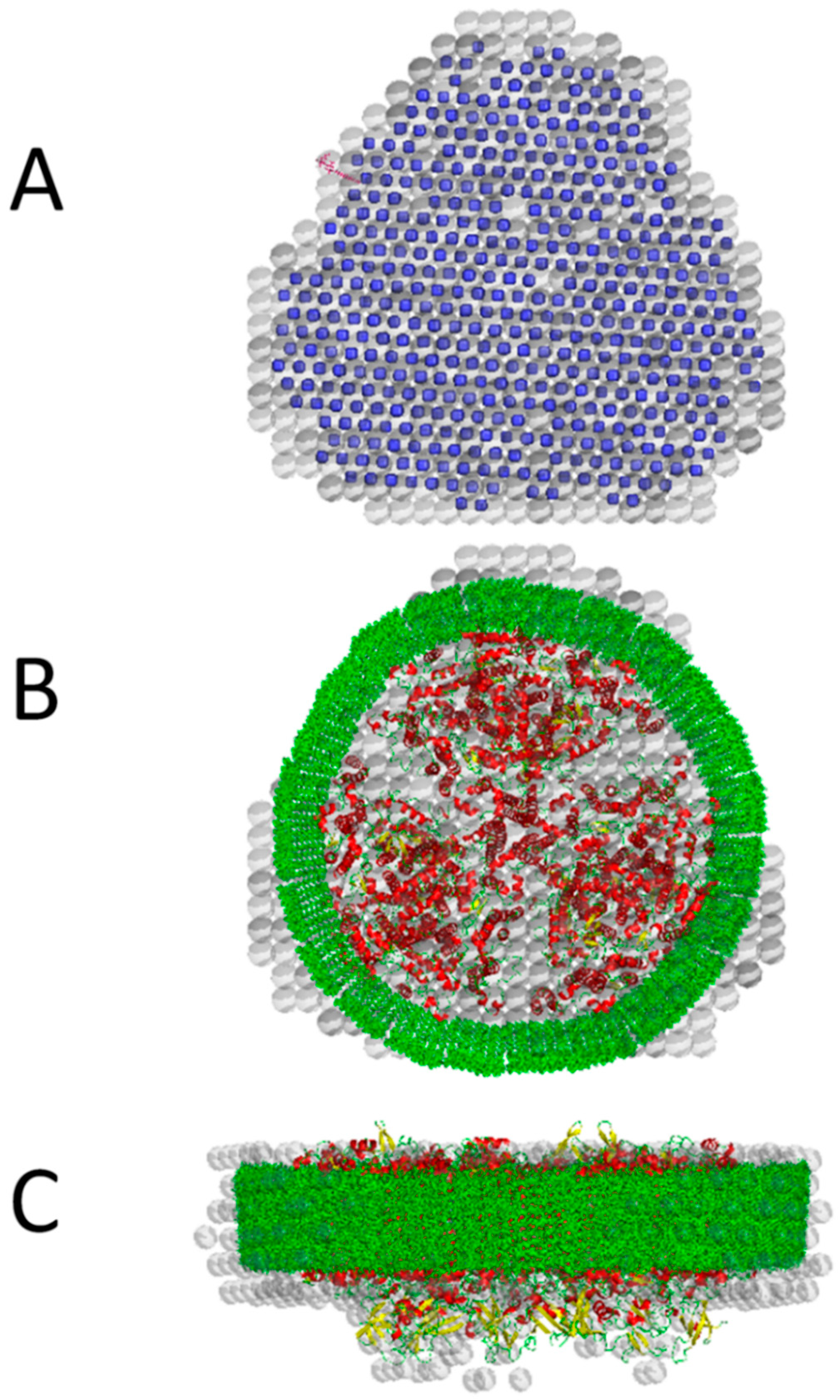 Crystals 11 00203 g006