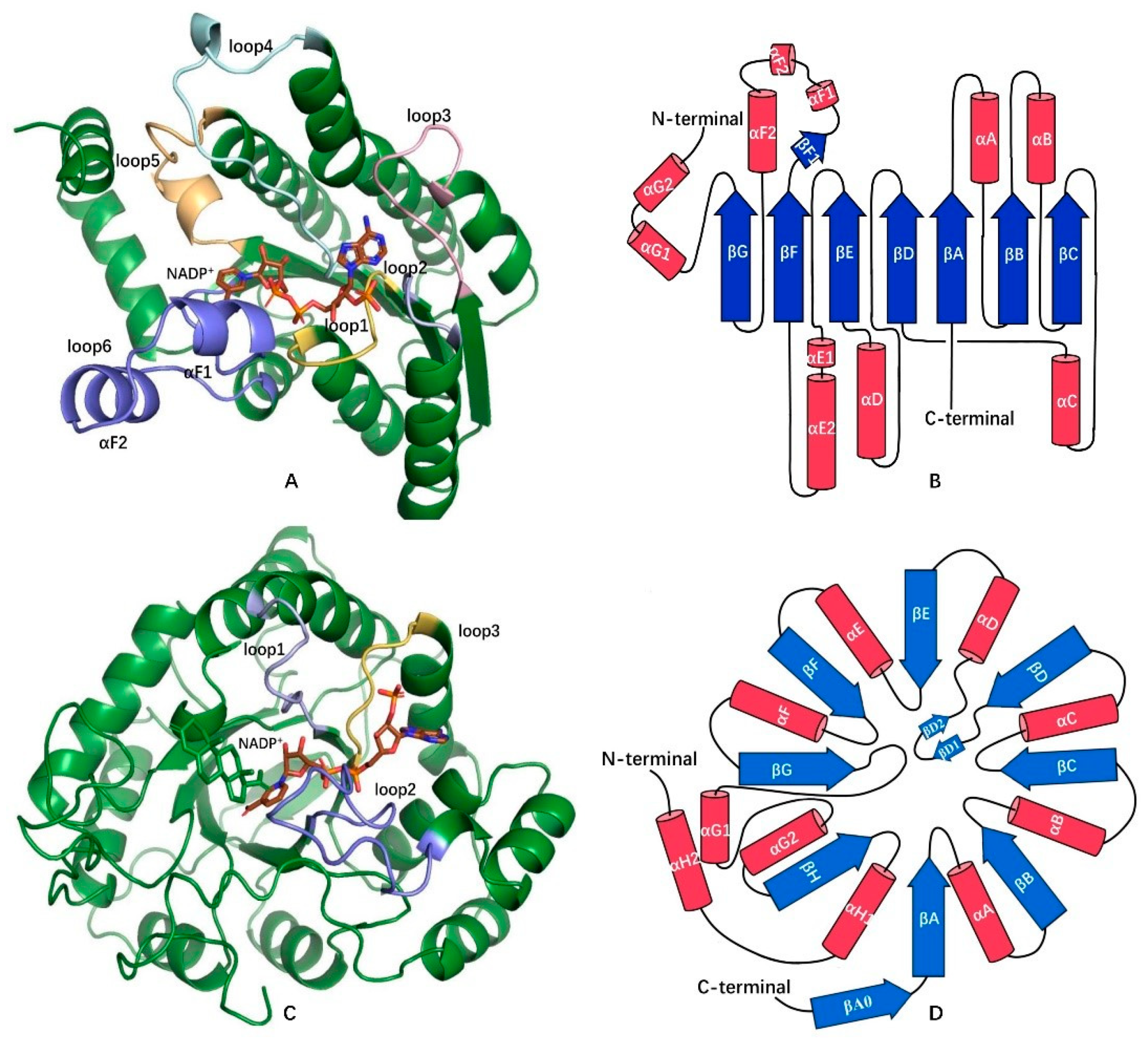 Crystals 11 00224 g001 Crystals 11 00224 g001