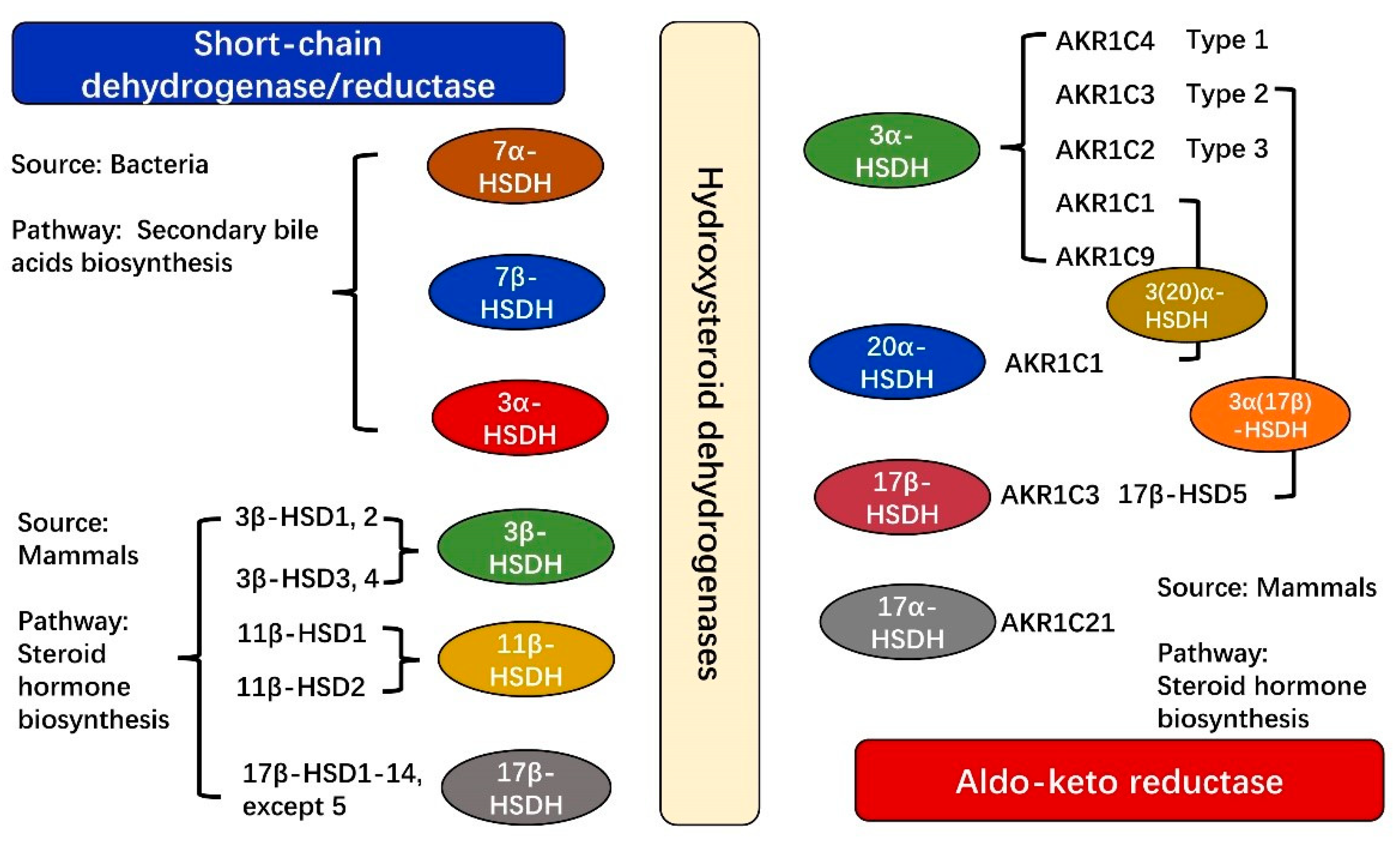 Crystals 11 00224 g002 Crystals 11 00224 g002