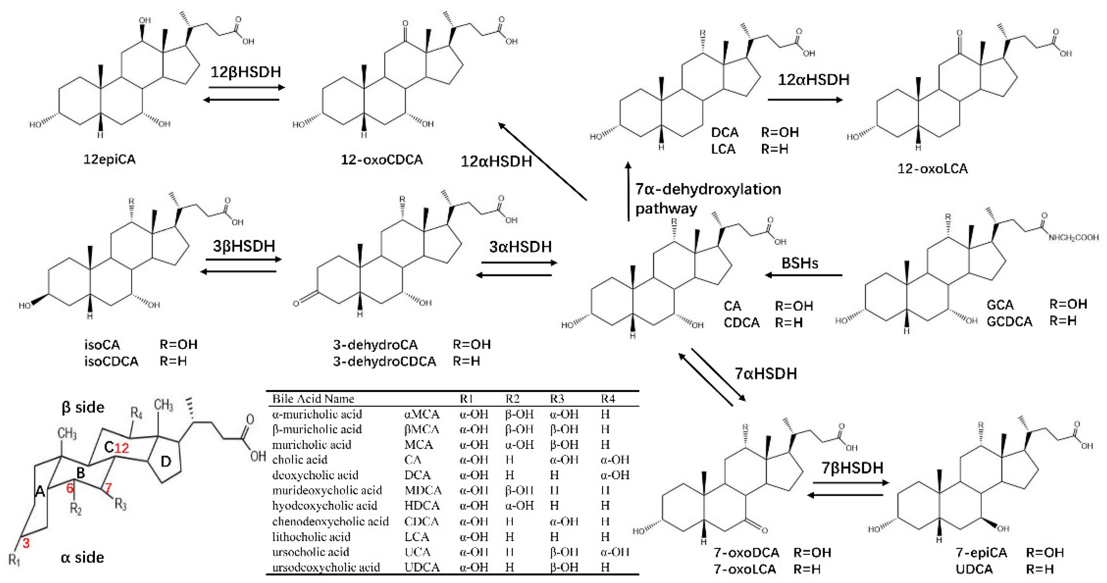 Crystals 11 00224 g003 Crystals 11 00224 g003