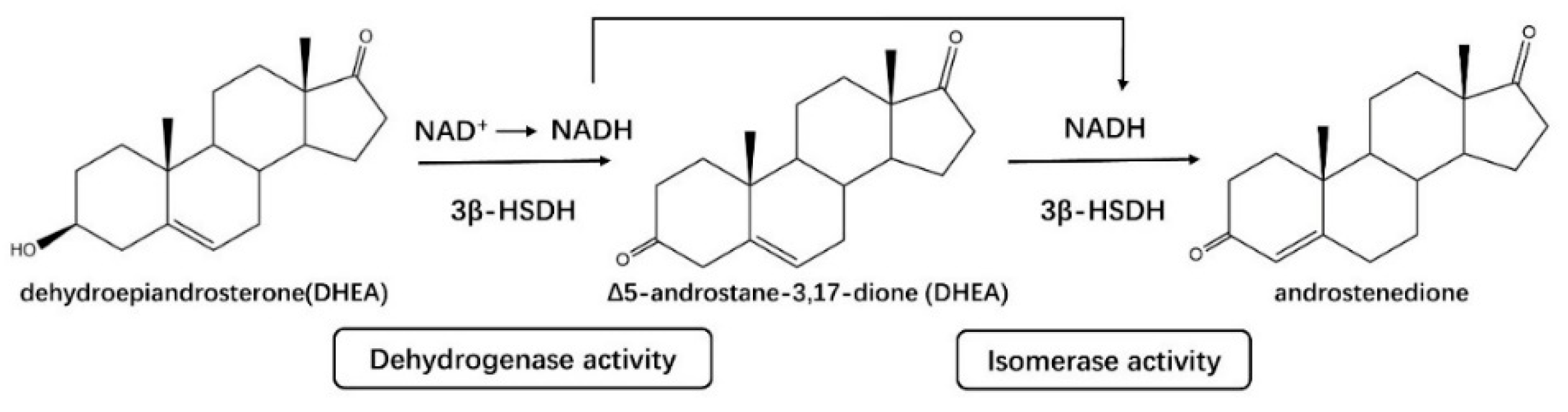 Crystals 11 00224 g004 Crystals 11 00224 g004