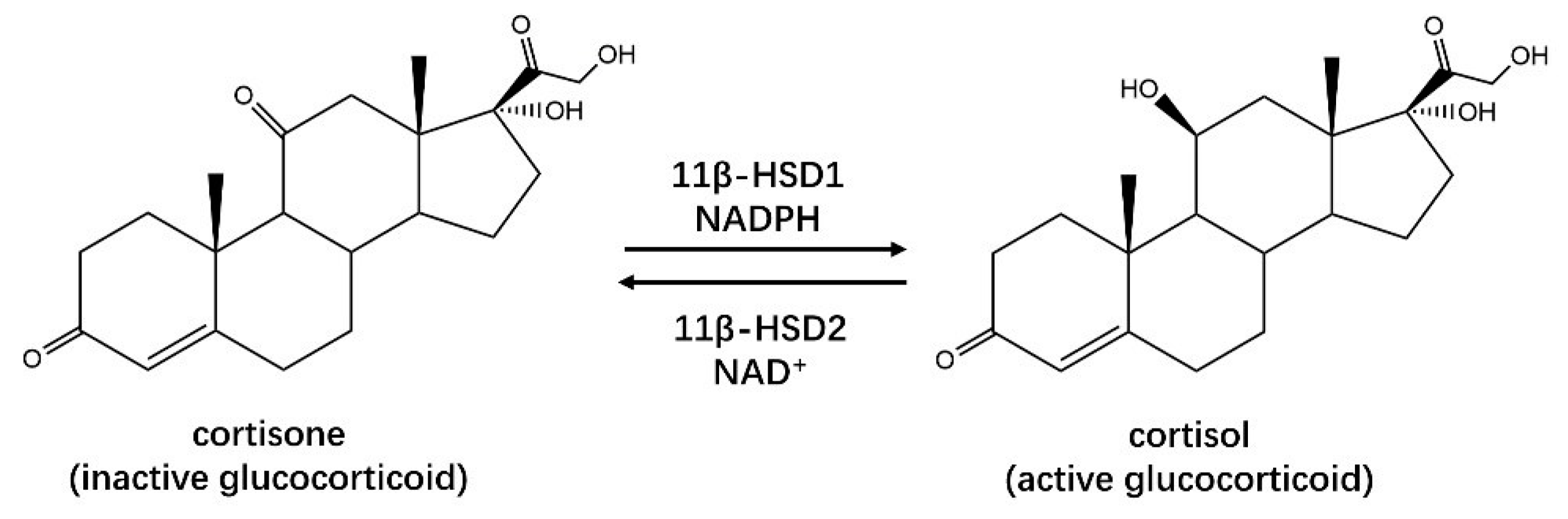 Crystals 11 00224 g005 Crystals 11 00224 g005