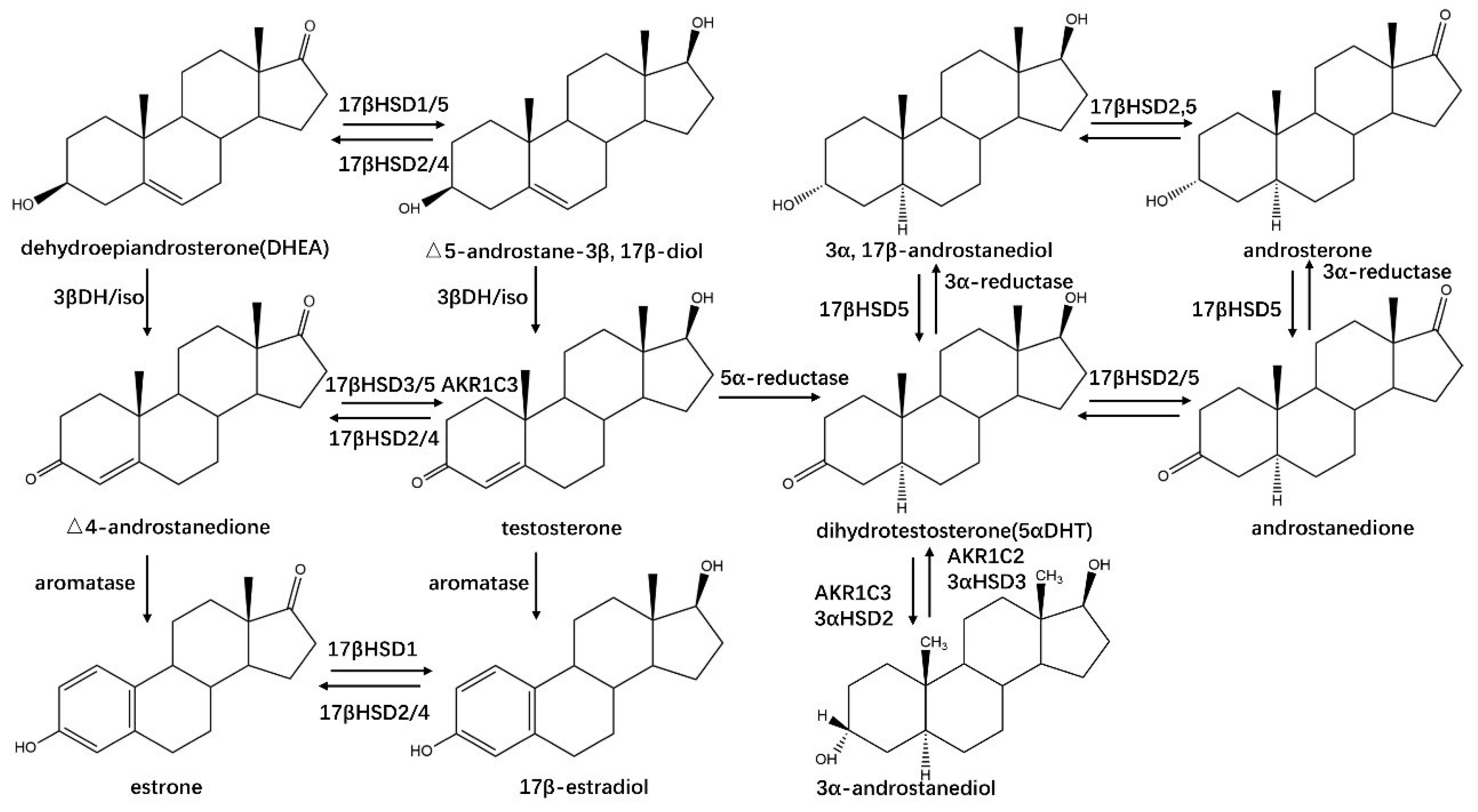 Crystals 11 00224 g006 Crystals 11 00224 g006