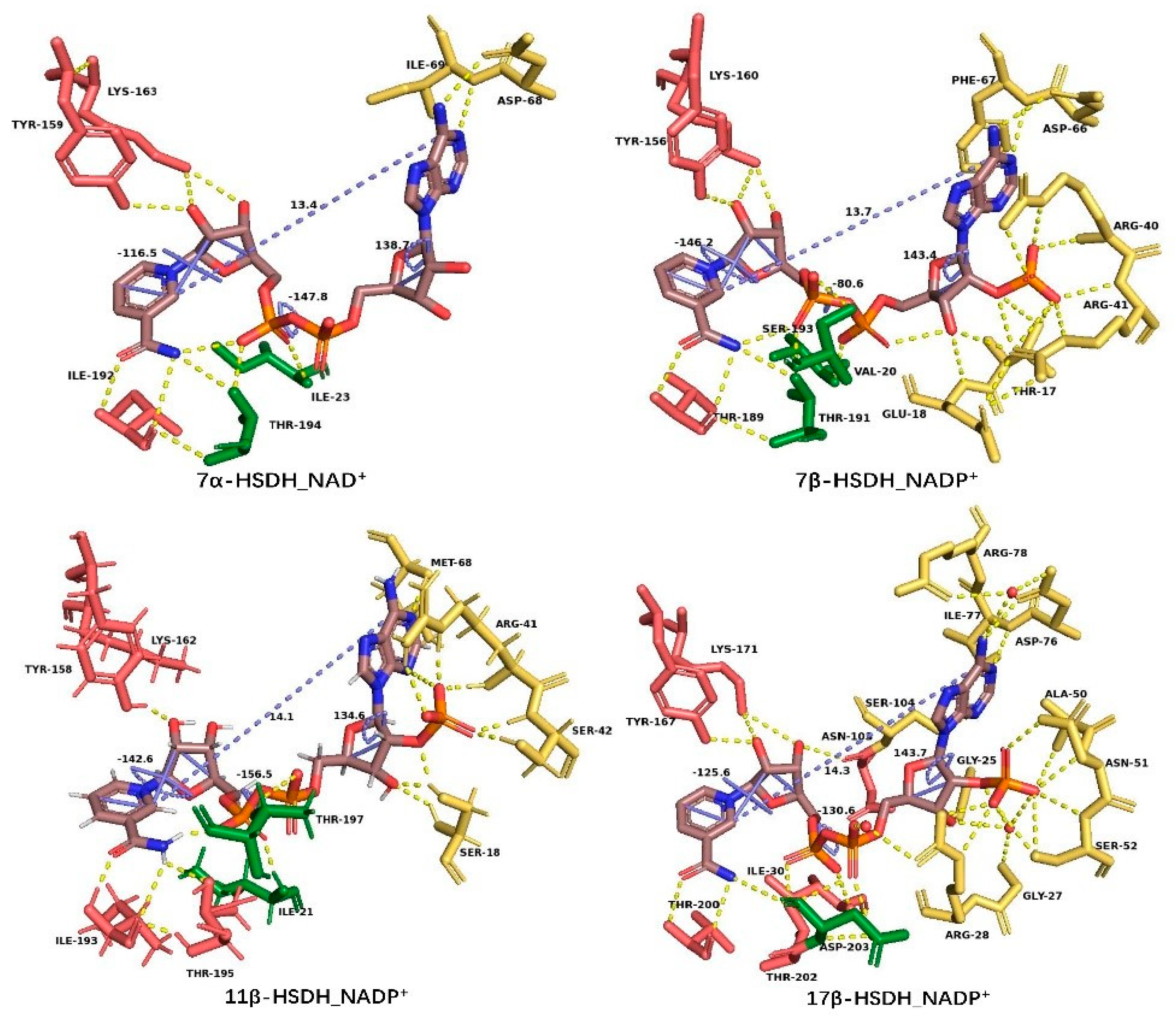 Crystals 11 00224 g007 Crystals 11 00224 g007