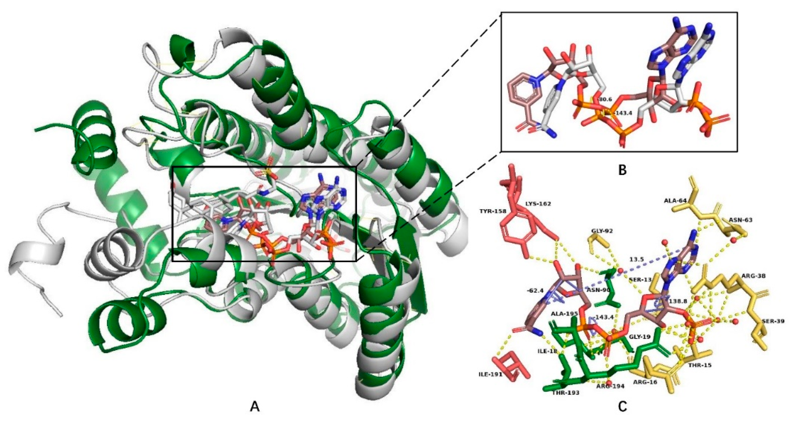 Crystals 11 00224 g008 Crystals 11 00224 g008