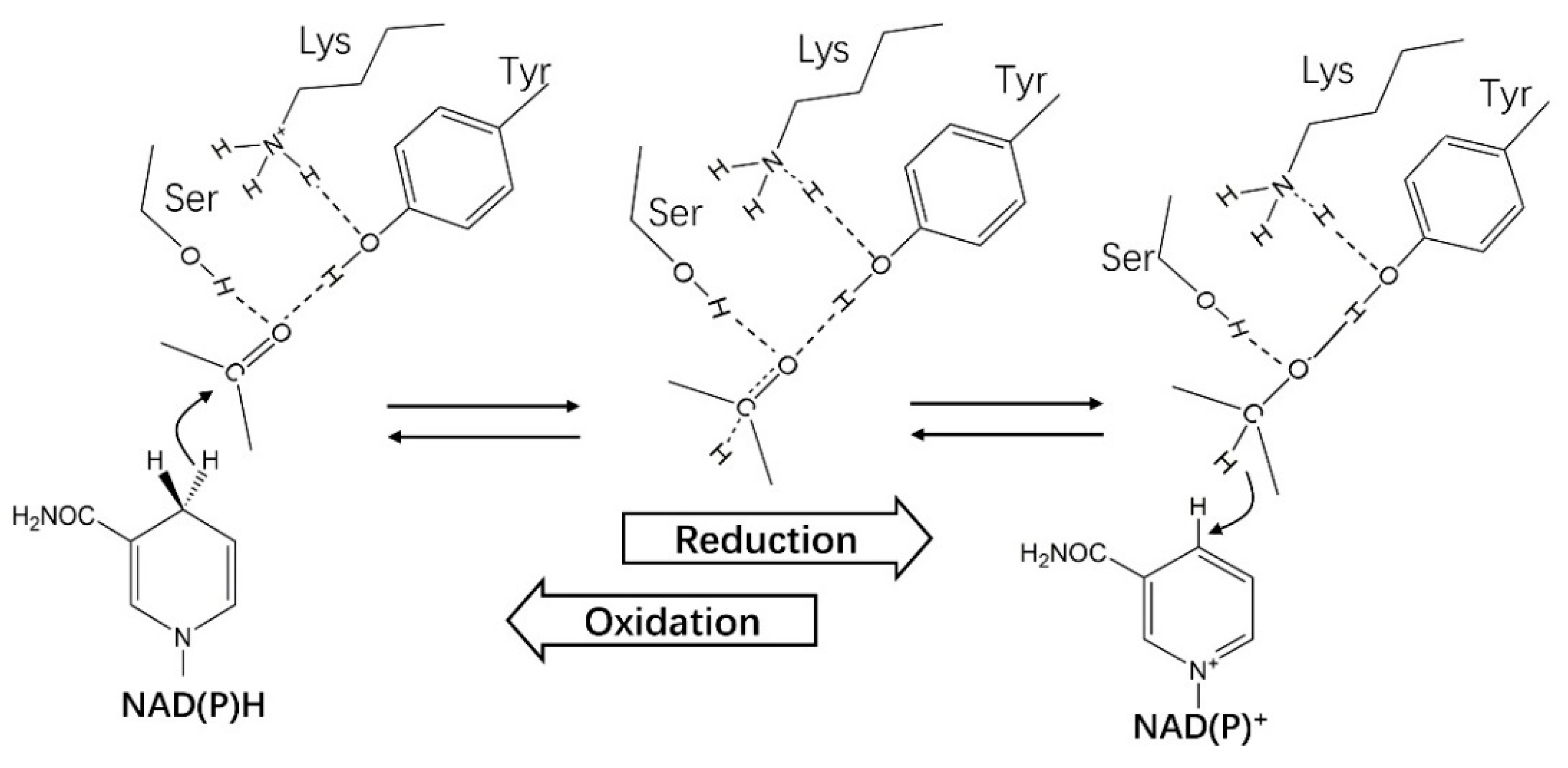 Crystals 11 00224 g010 Crystals 11 00224 g010