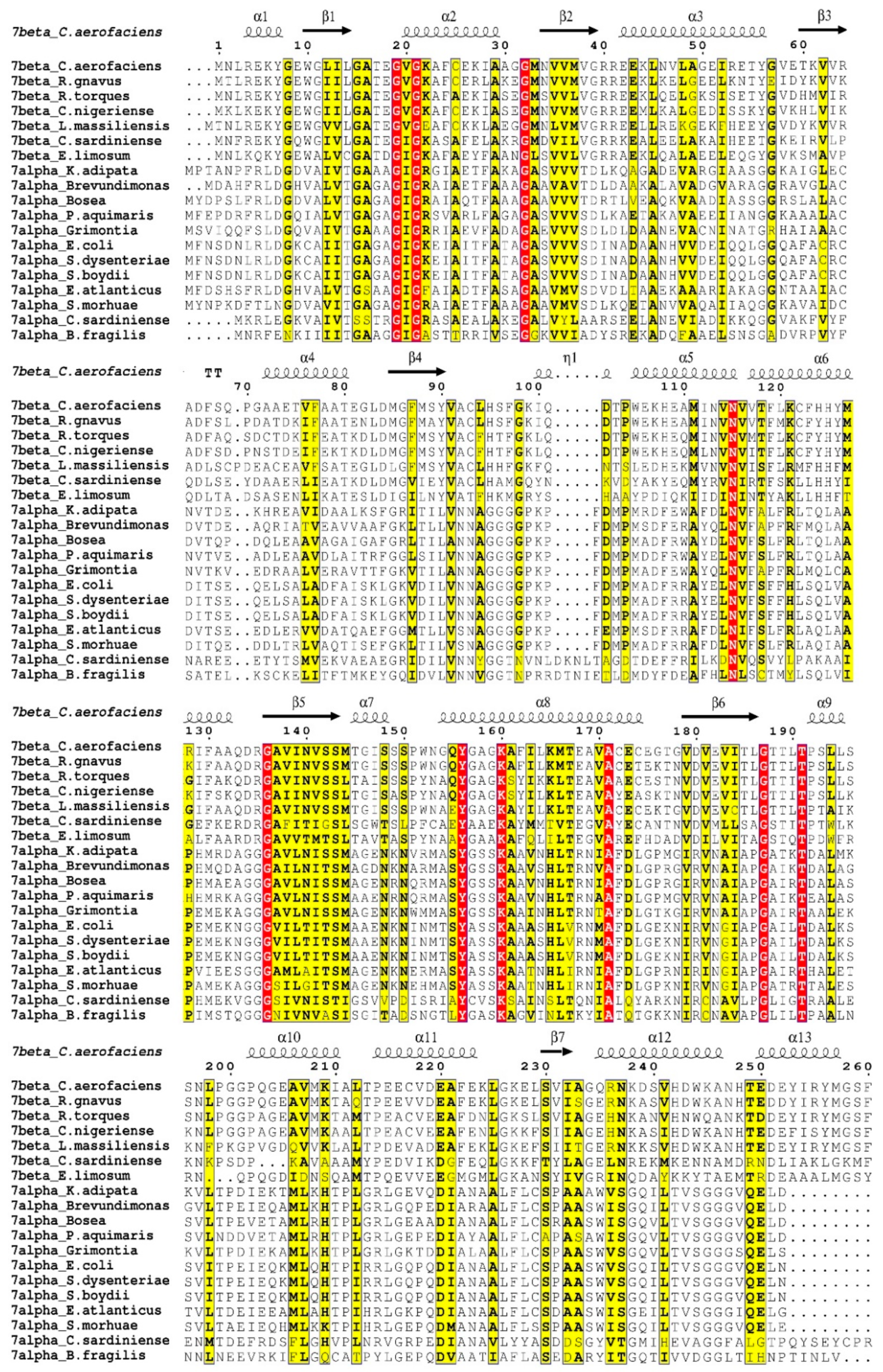 Crystals 11 00224 g013 Crystals 11 00224 g013