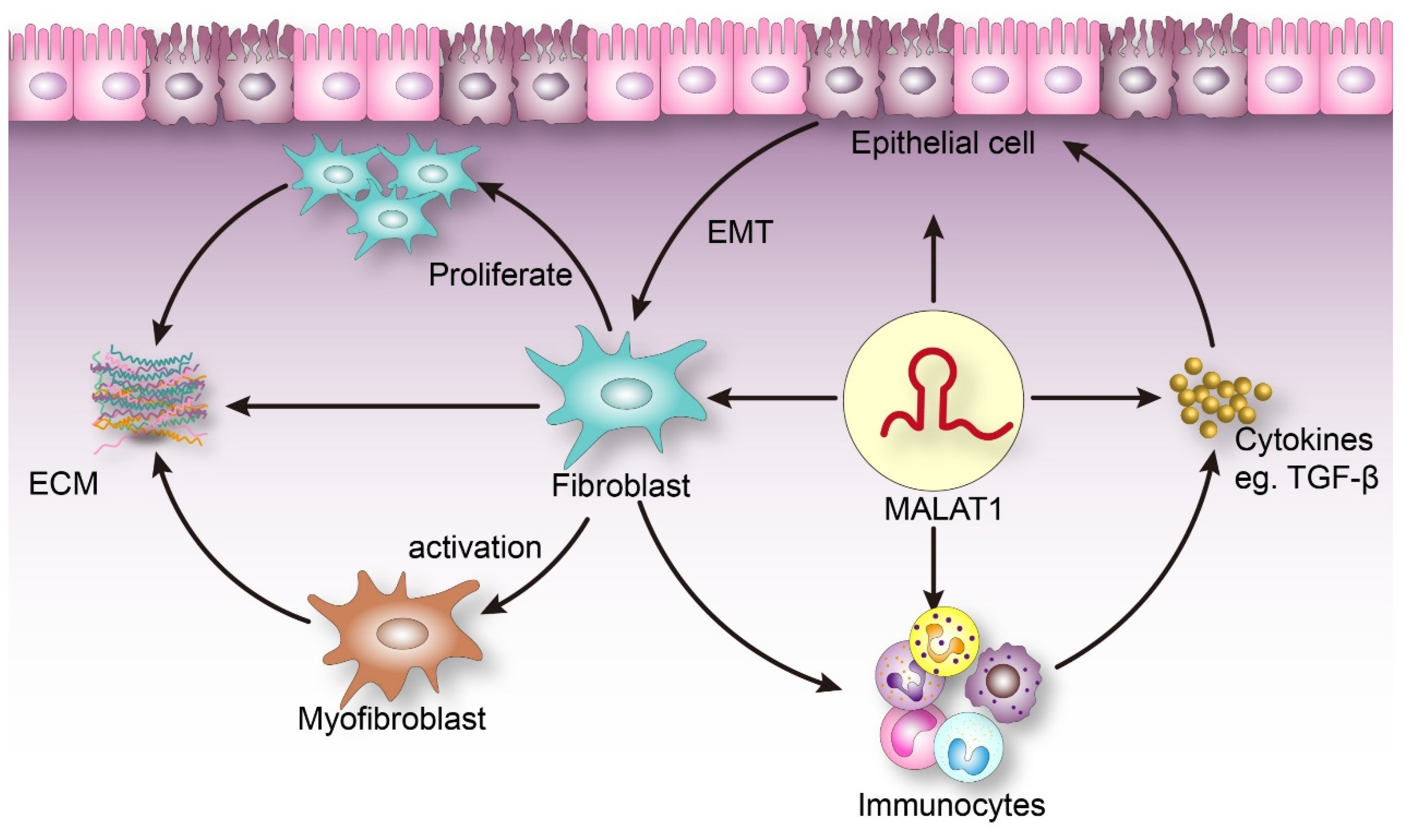 Crystals 11 00249 g001 Crystals 11 00249 g001
