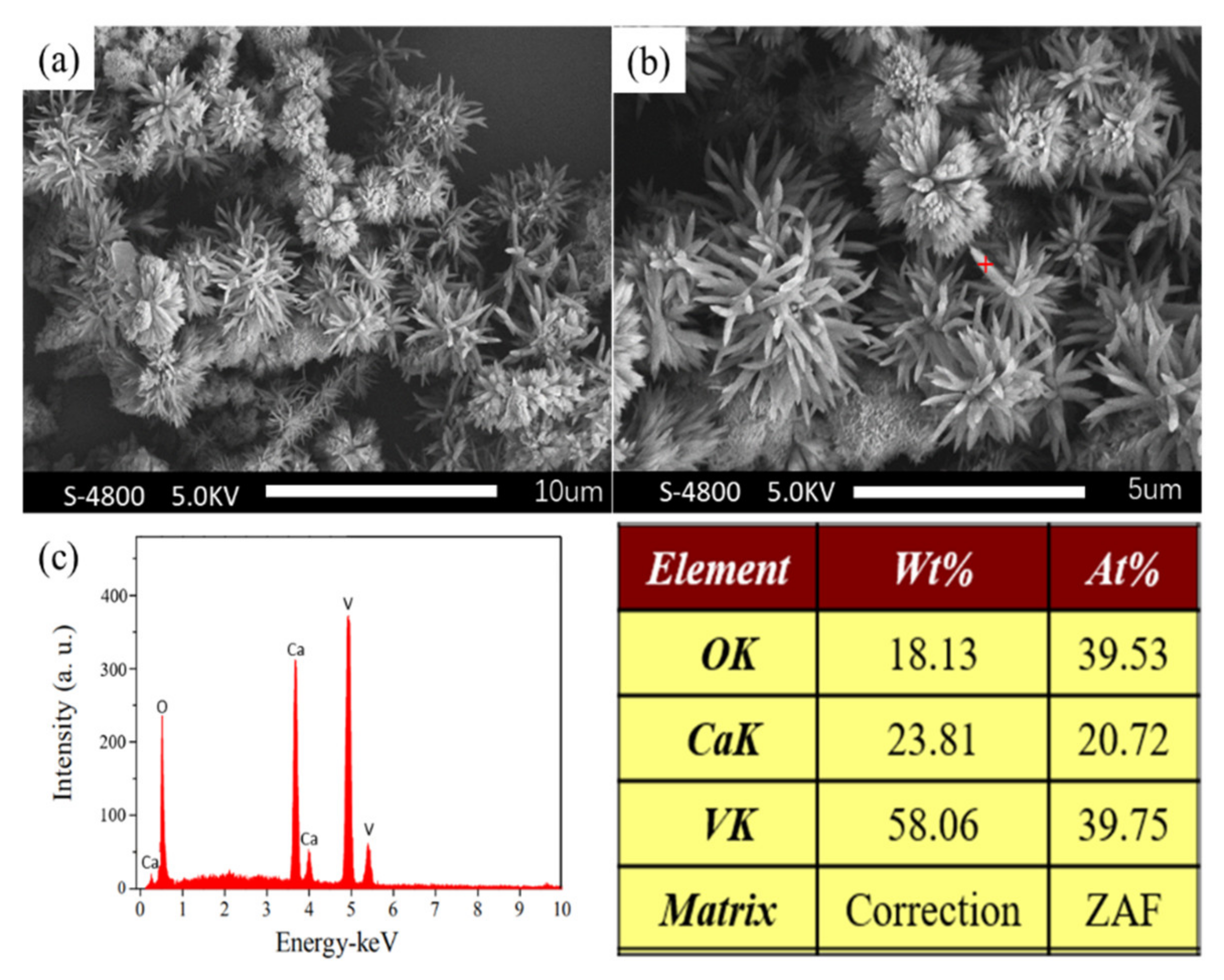 Crystals 11 00255 g013 550