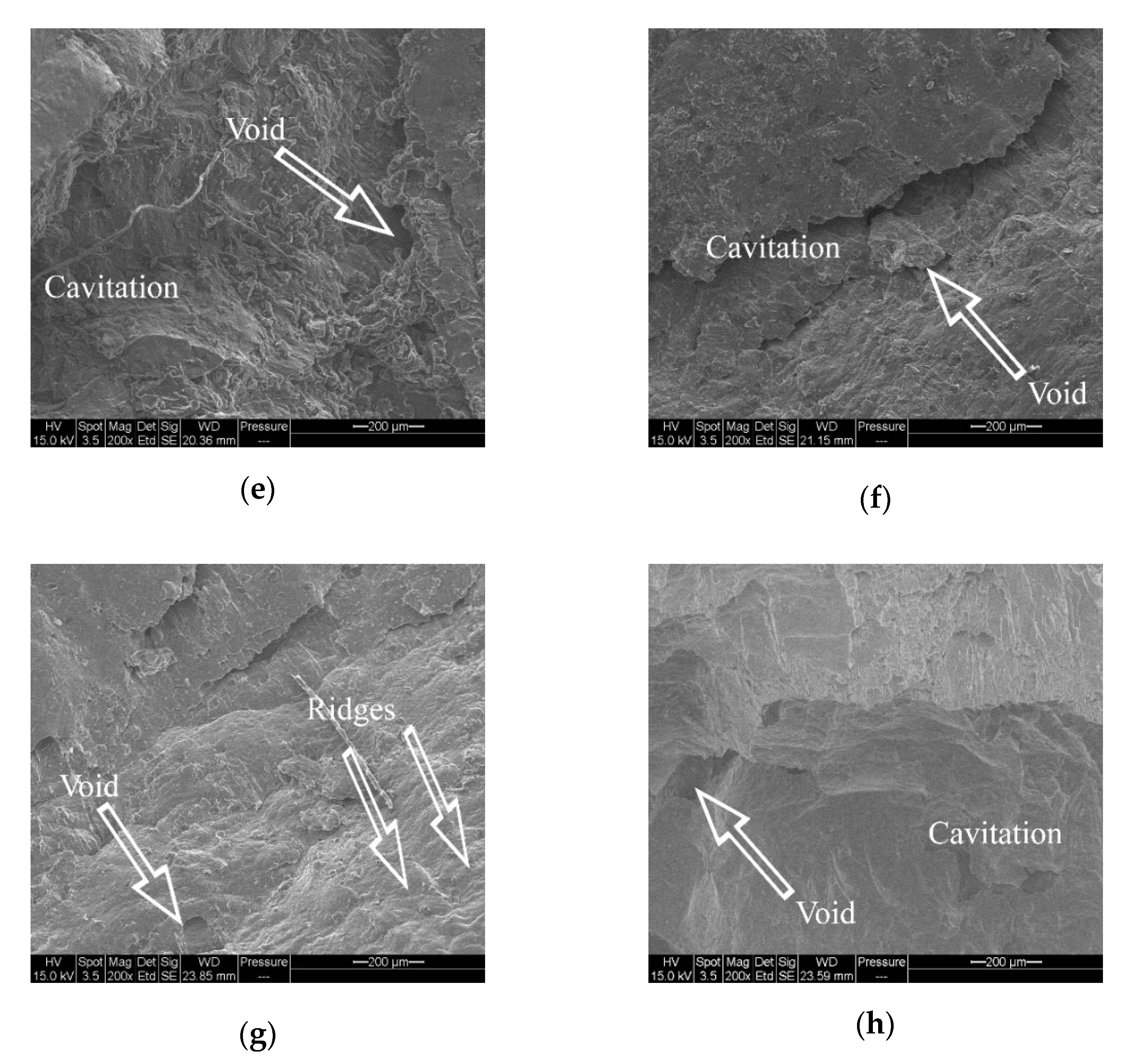 Crystals 11 00270 g008b Crystals 11 00270 g008b