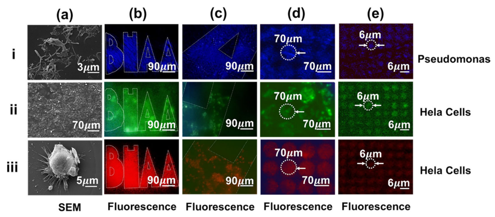 Crystals 11 00272 g004