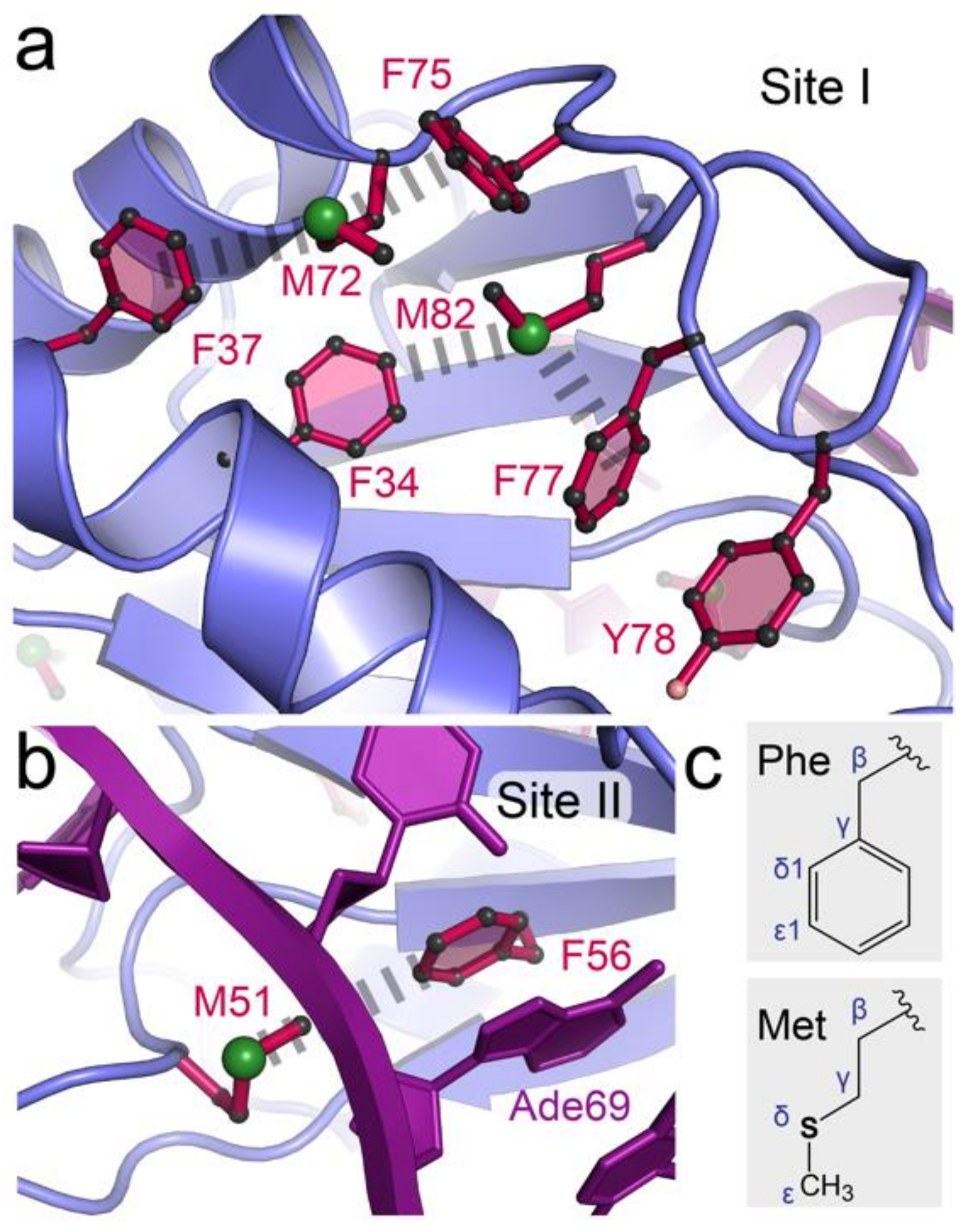 Crystals 11 00273 g002 Crystals 11 00273 g002