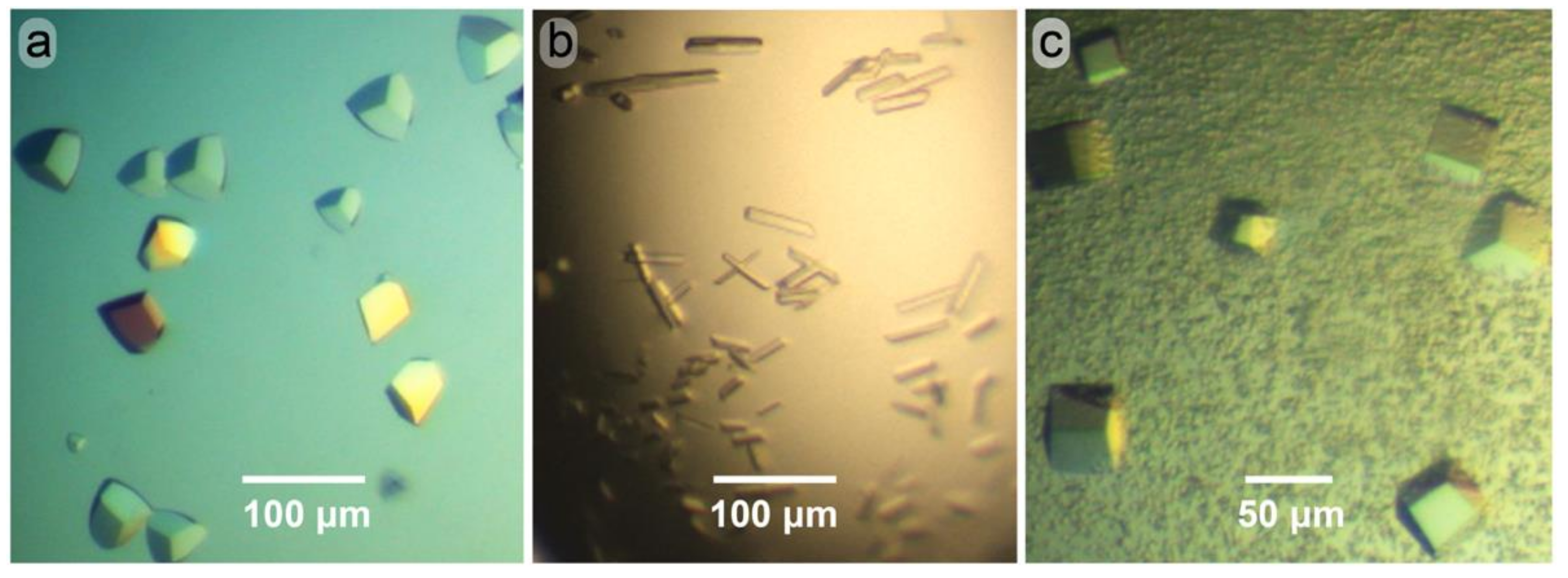 Crystals 11 00273 g005 Crystals 11 00273 g005