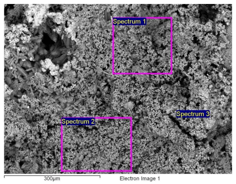 Crystals 11 00274 g006