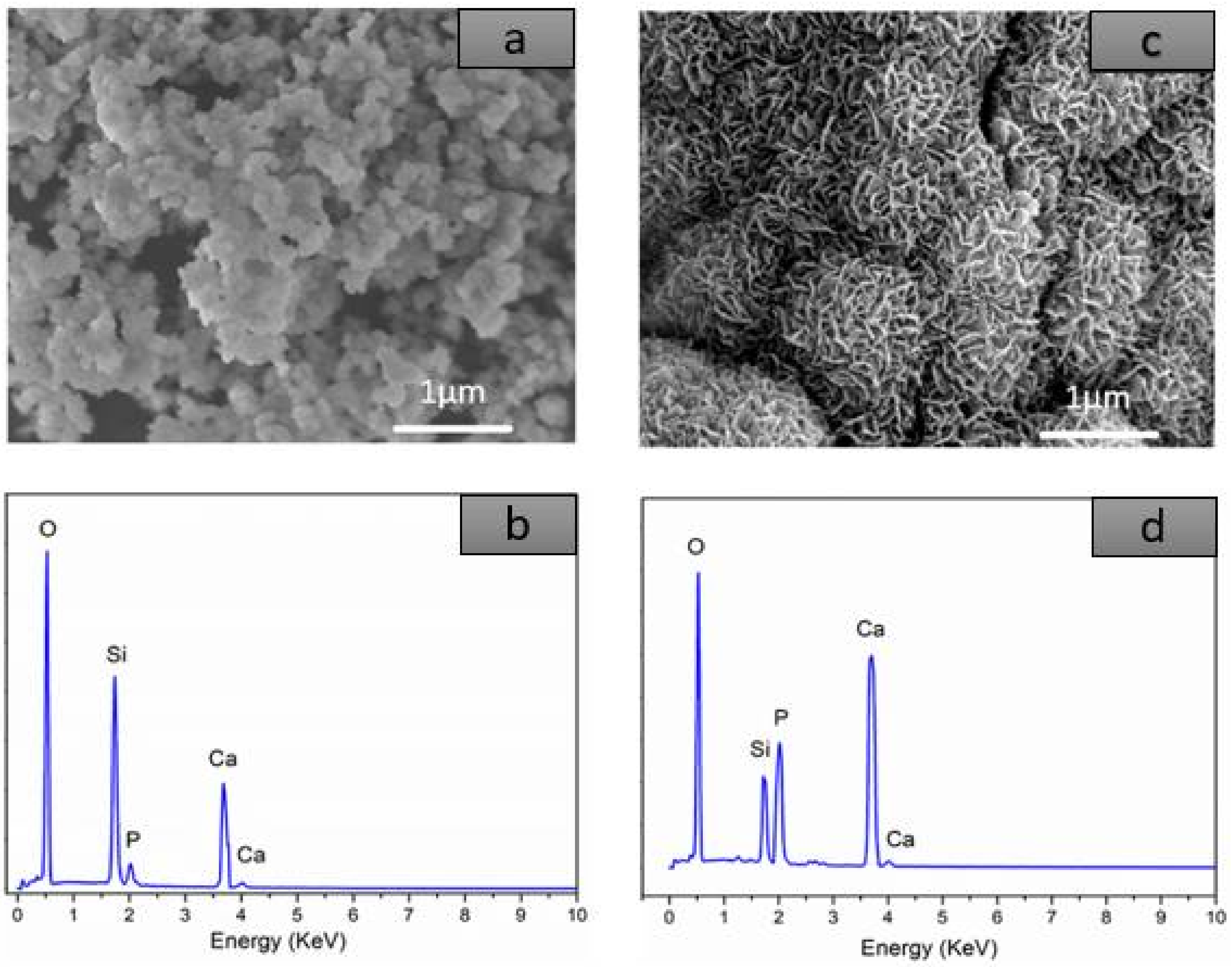 Crystals 11 00283 g005 Crystals 11 00283 g005