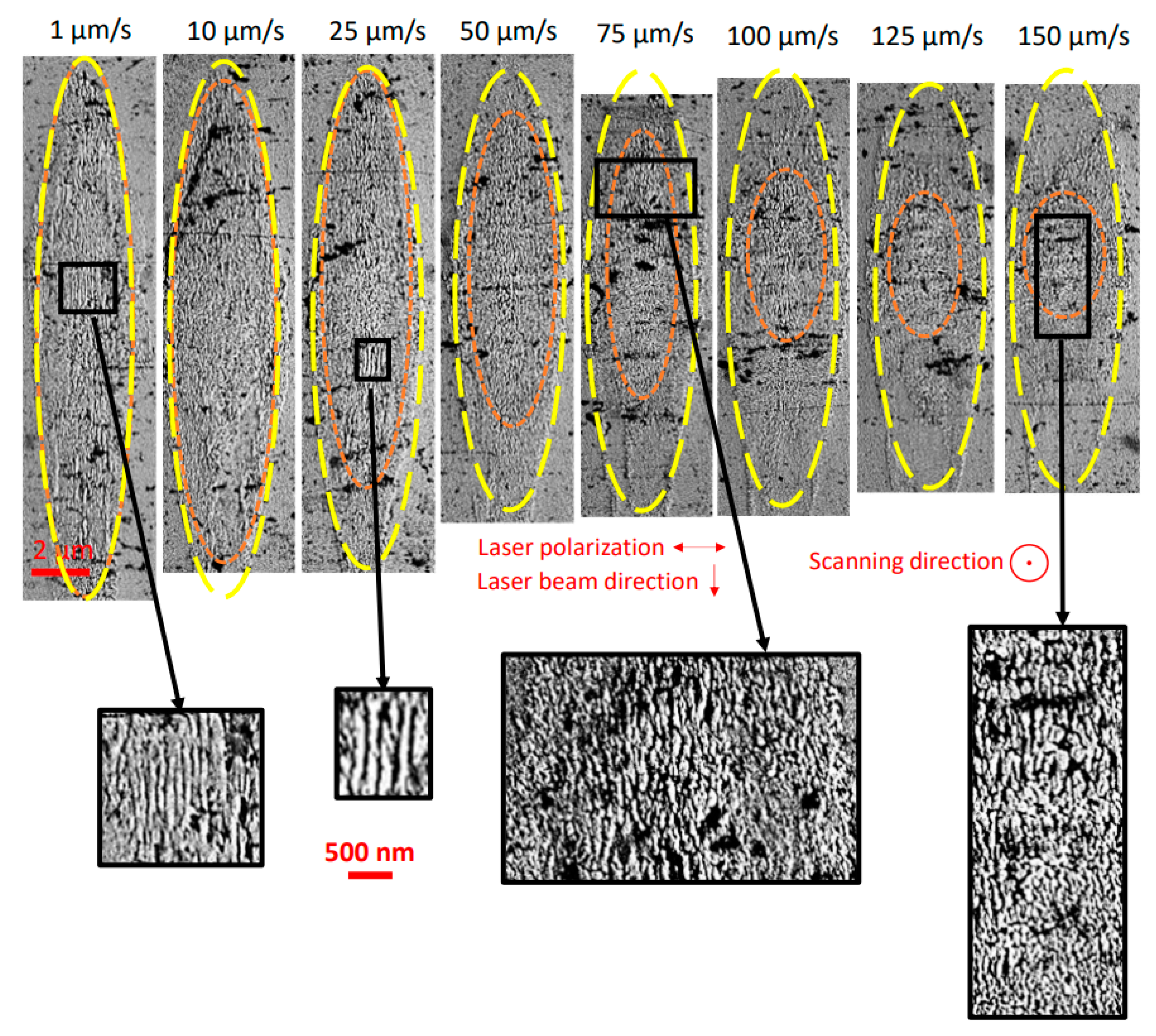 Crystals 11 00290 g007