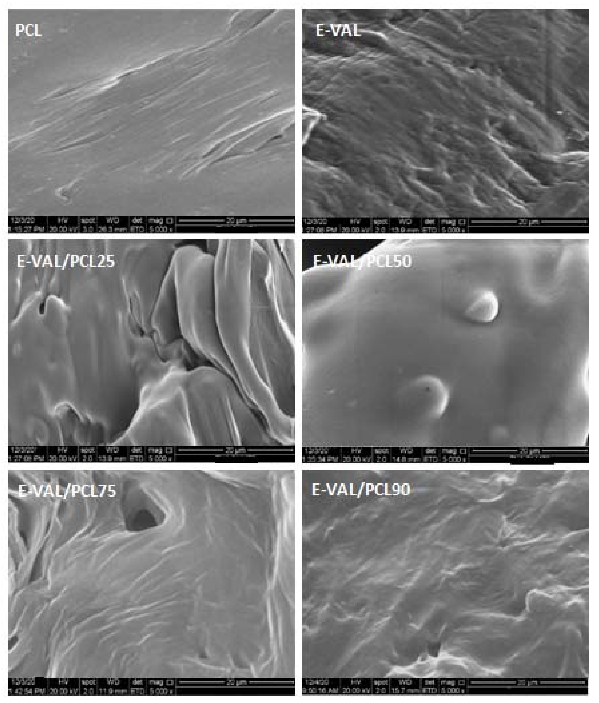 Crystals 11 00292 g001