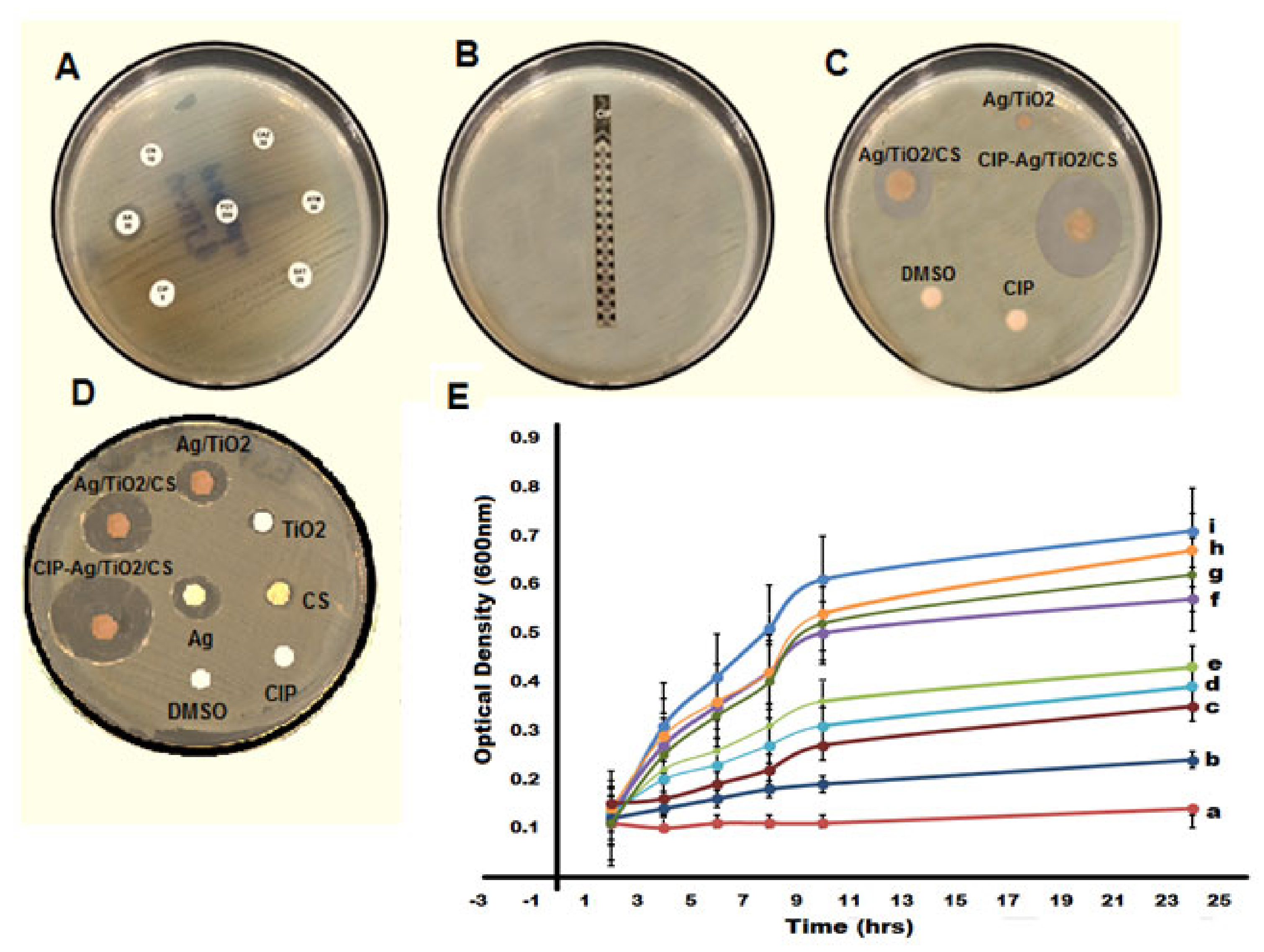 Crystals 11 00319 g005 Crystals 11 00319 g005