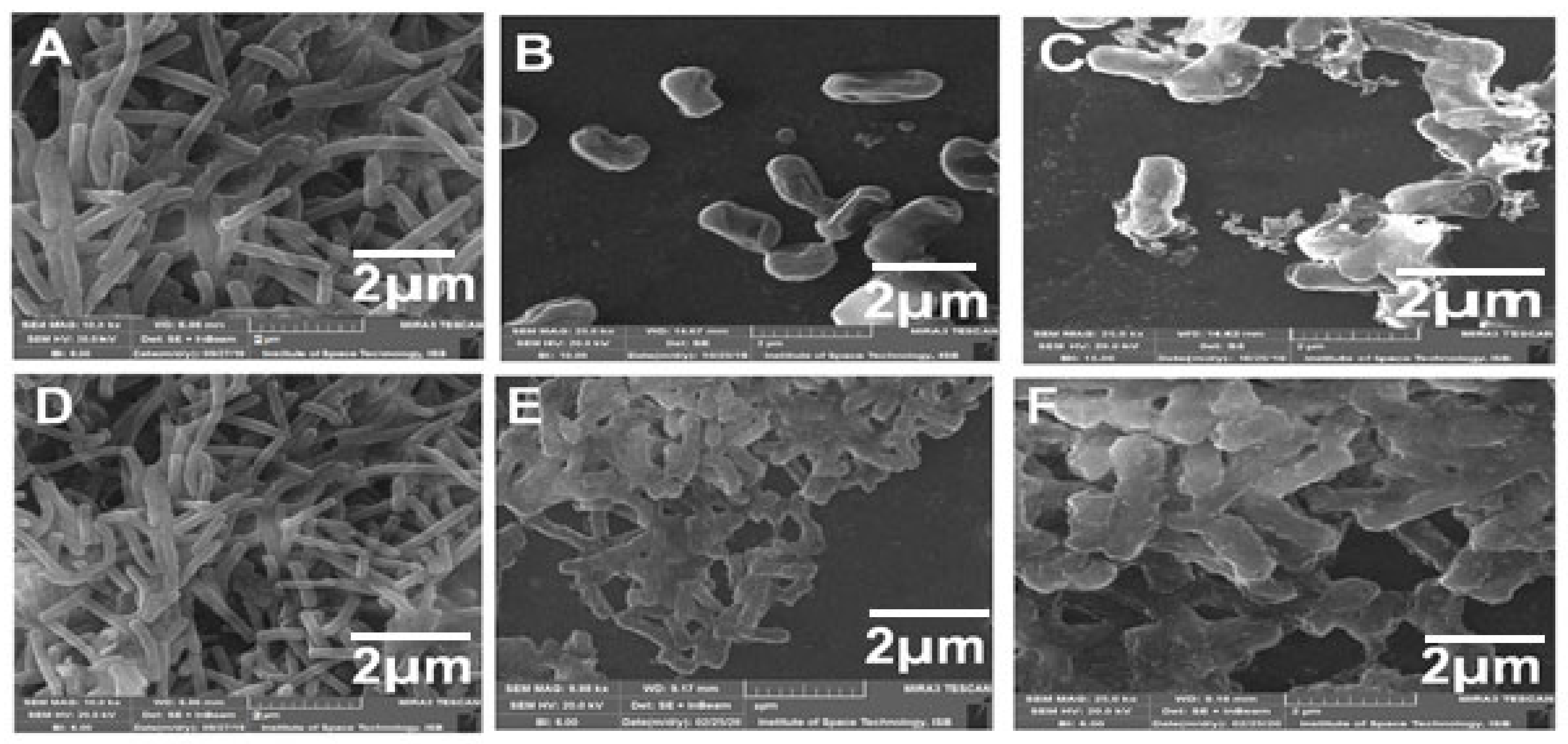 Crystals 11 00319 g006 Crystals 11 00319 g006