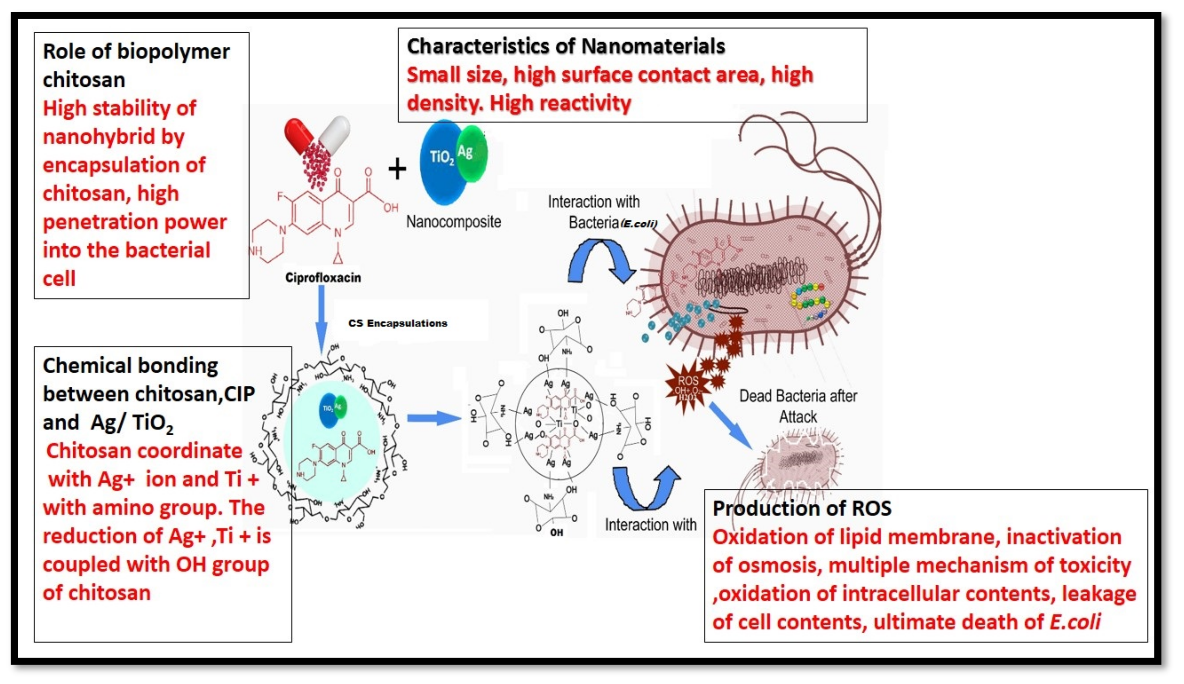 Crystals 11 00319 g012 Crystals 11 00319 g012
