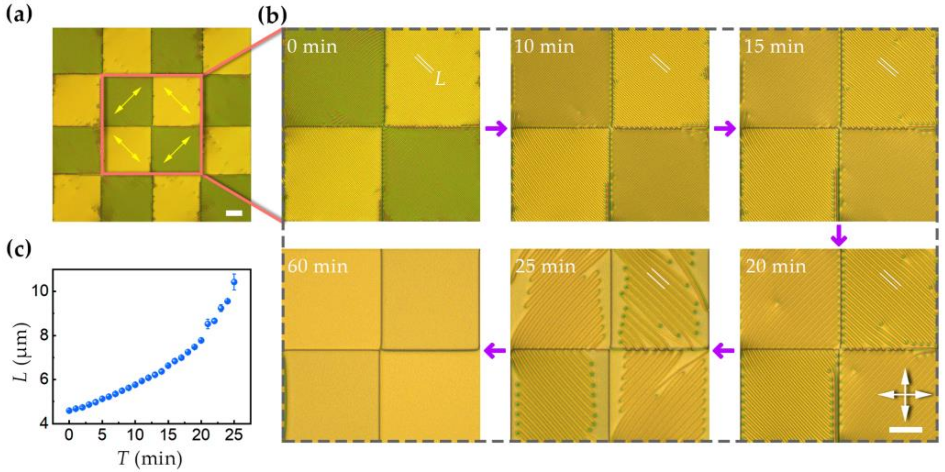 Crystals 11 00326 g002