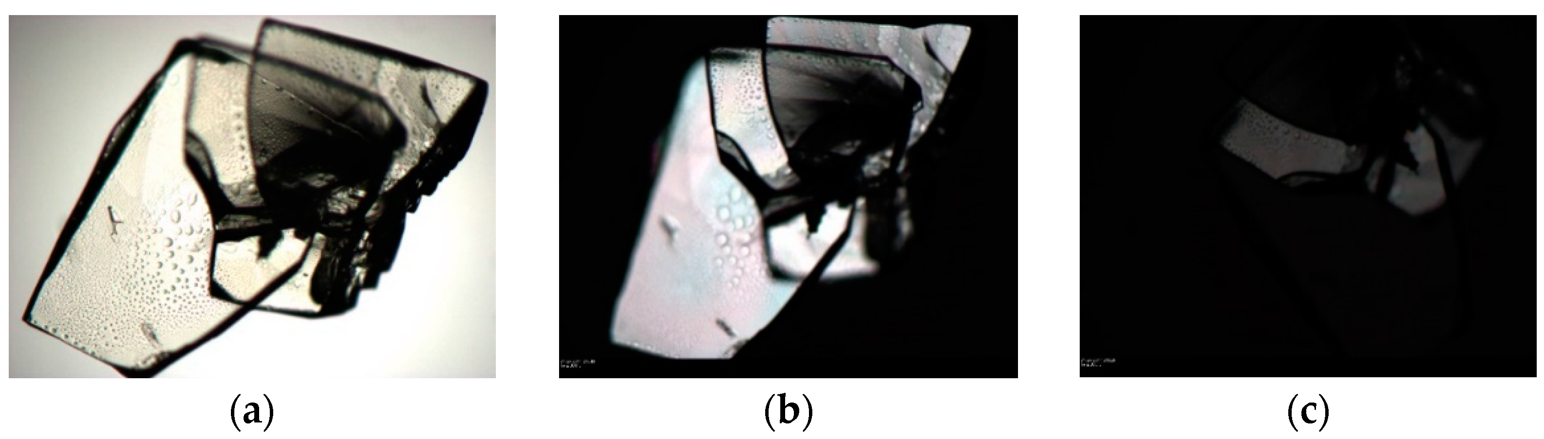 Crystals 11 00342 g011 Crystals 11 00342 g011