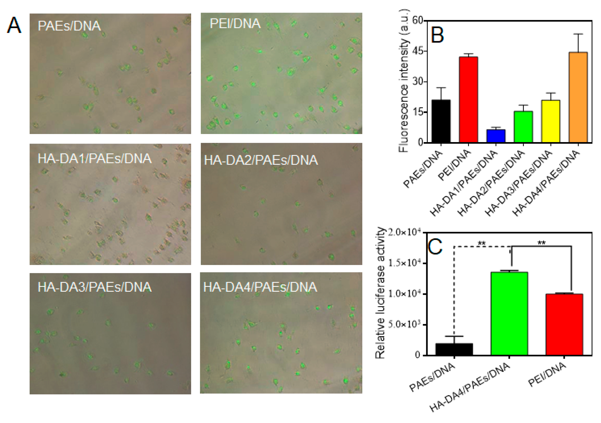 Crystals 11 00347 g004 Crystals 11 00347 g004