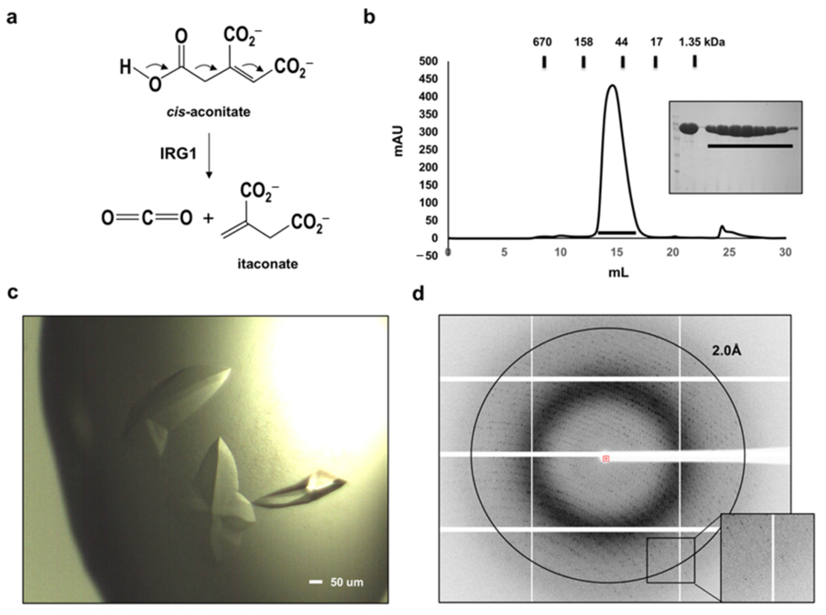 Crystals 11 00350 g001