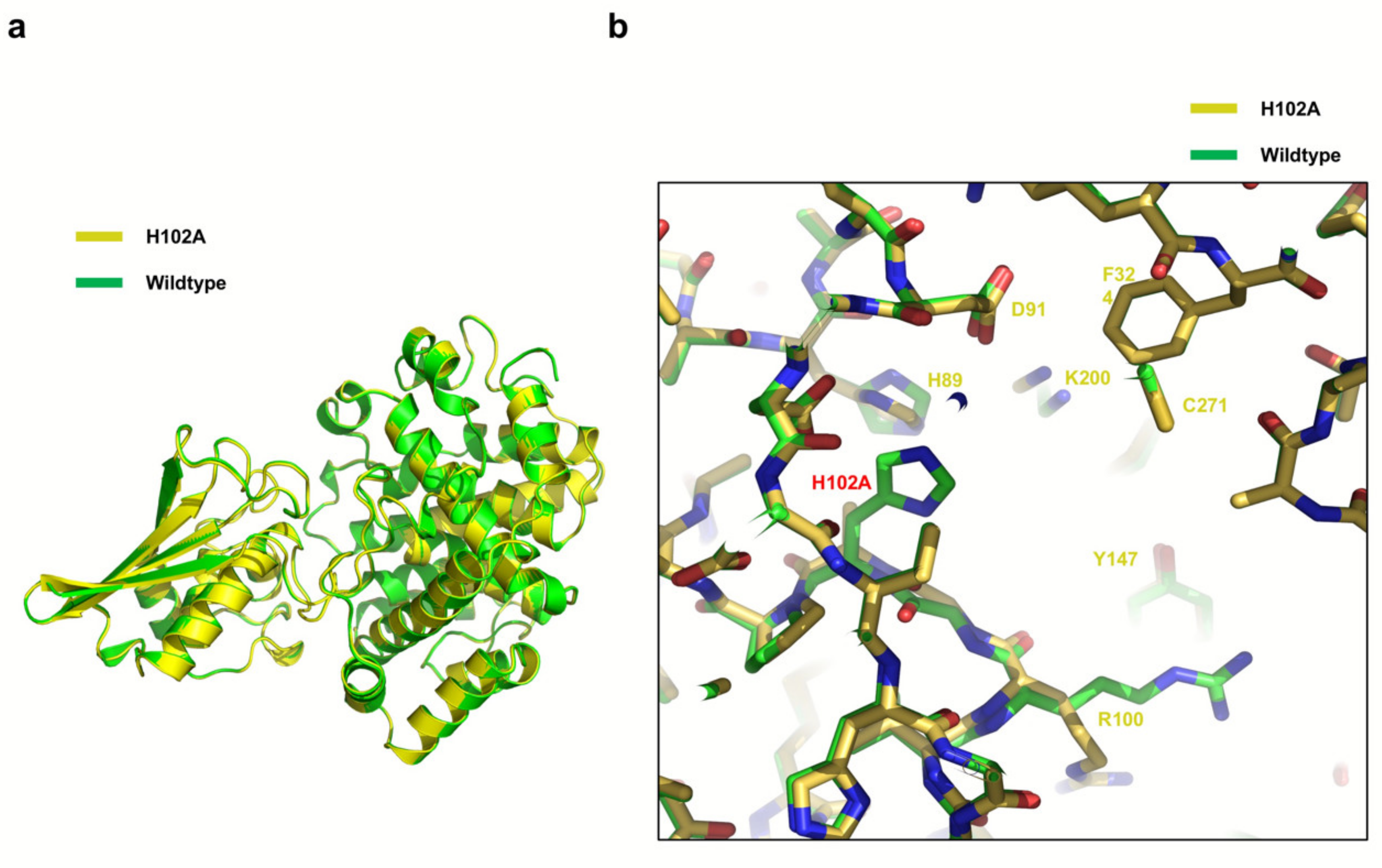 Crystals 11 00350 g003
