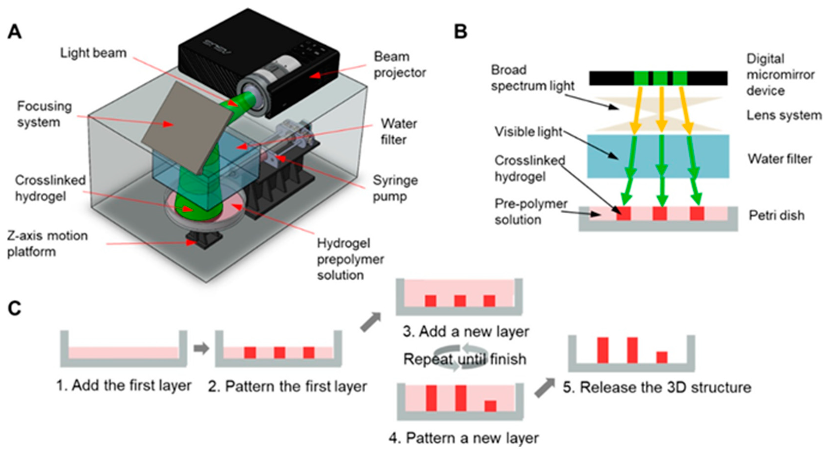 Crystals 11 00353 g003 Crystals 11 00353 g003