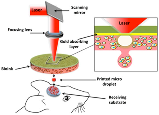 Three-Dimensional Printing of Hydroxyapatite Composites for