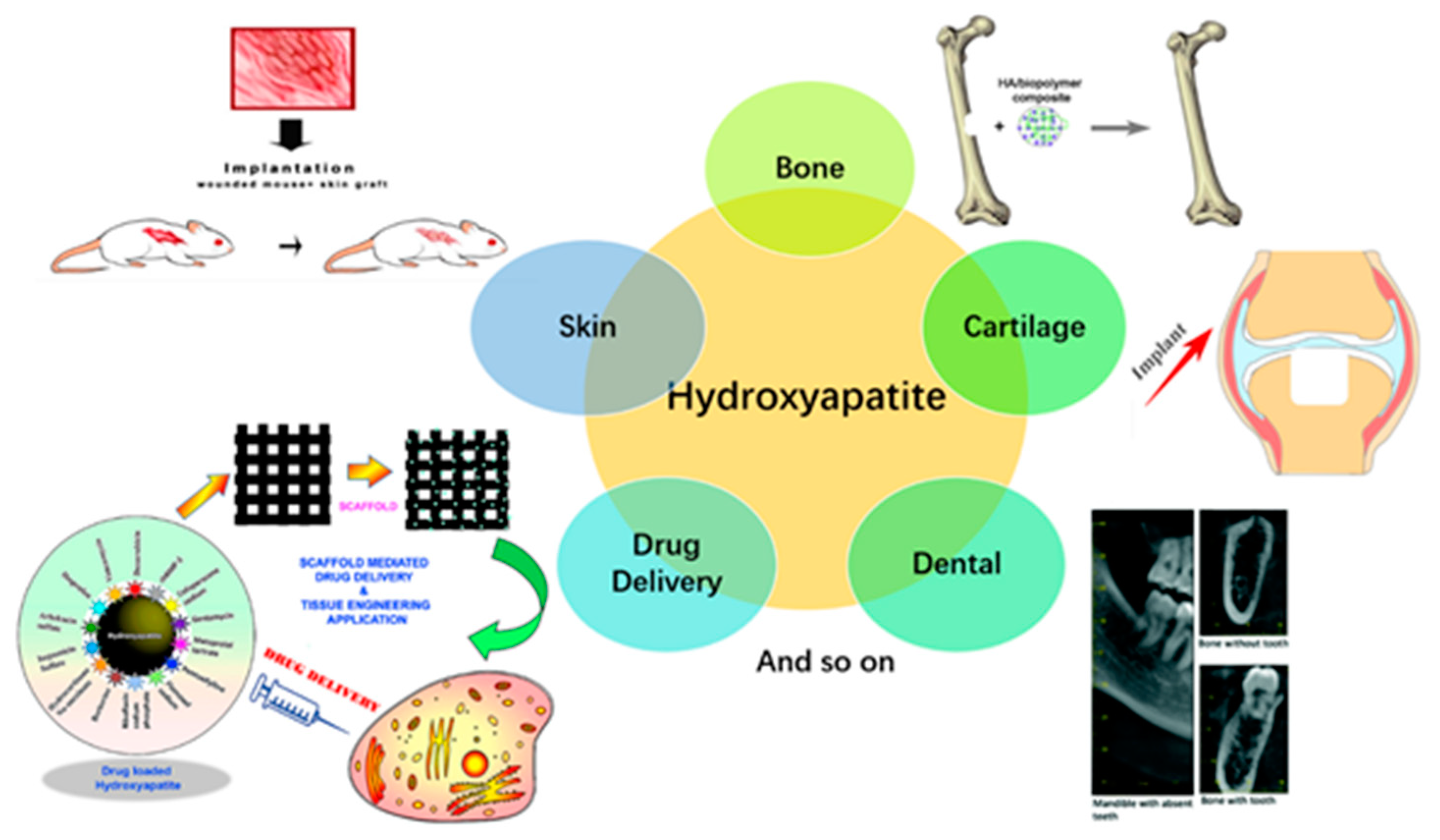Crystals 11 00353 g020