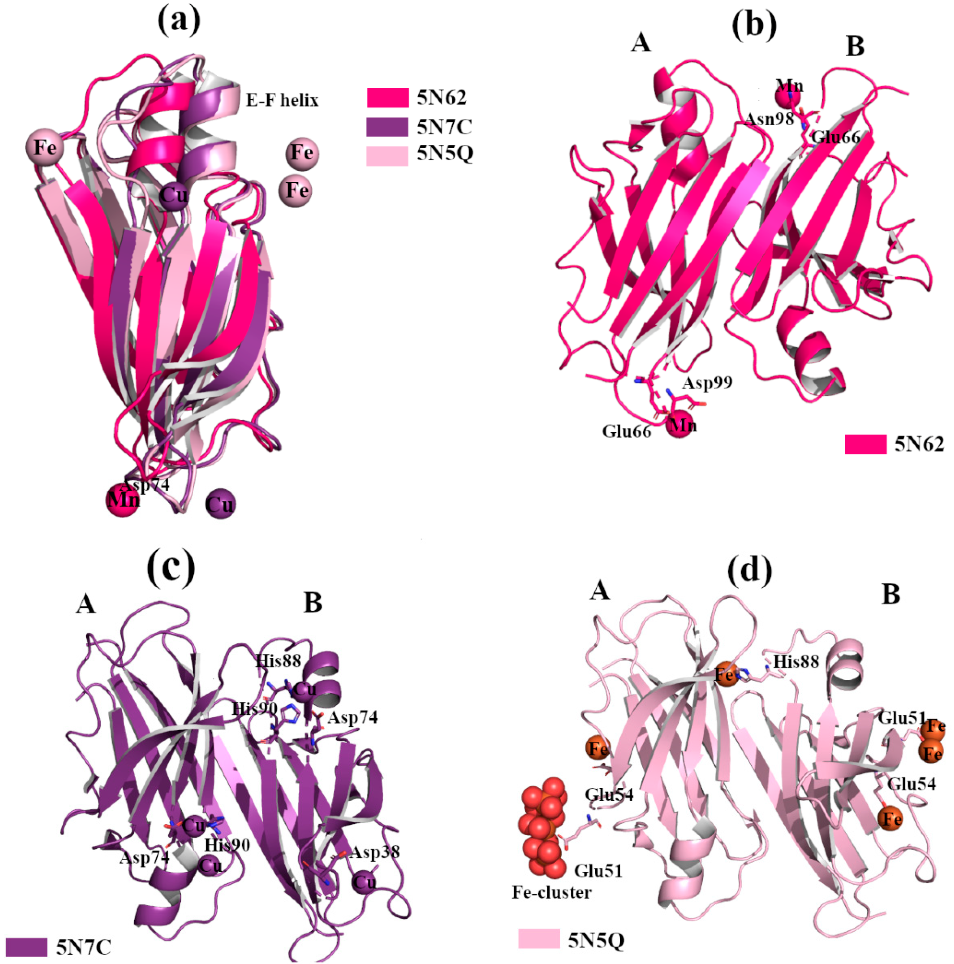 Crystals 11 00354 g004