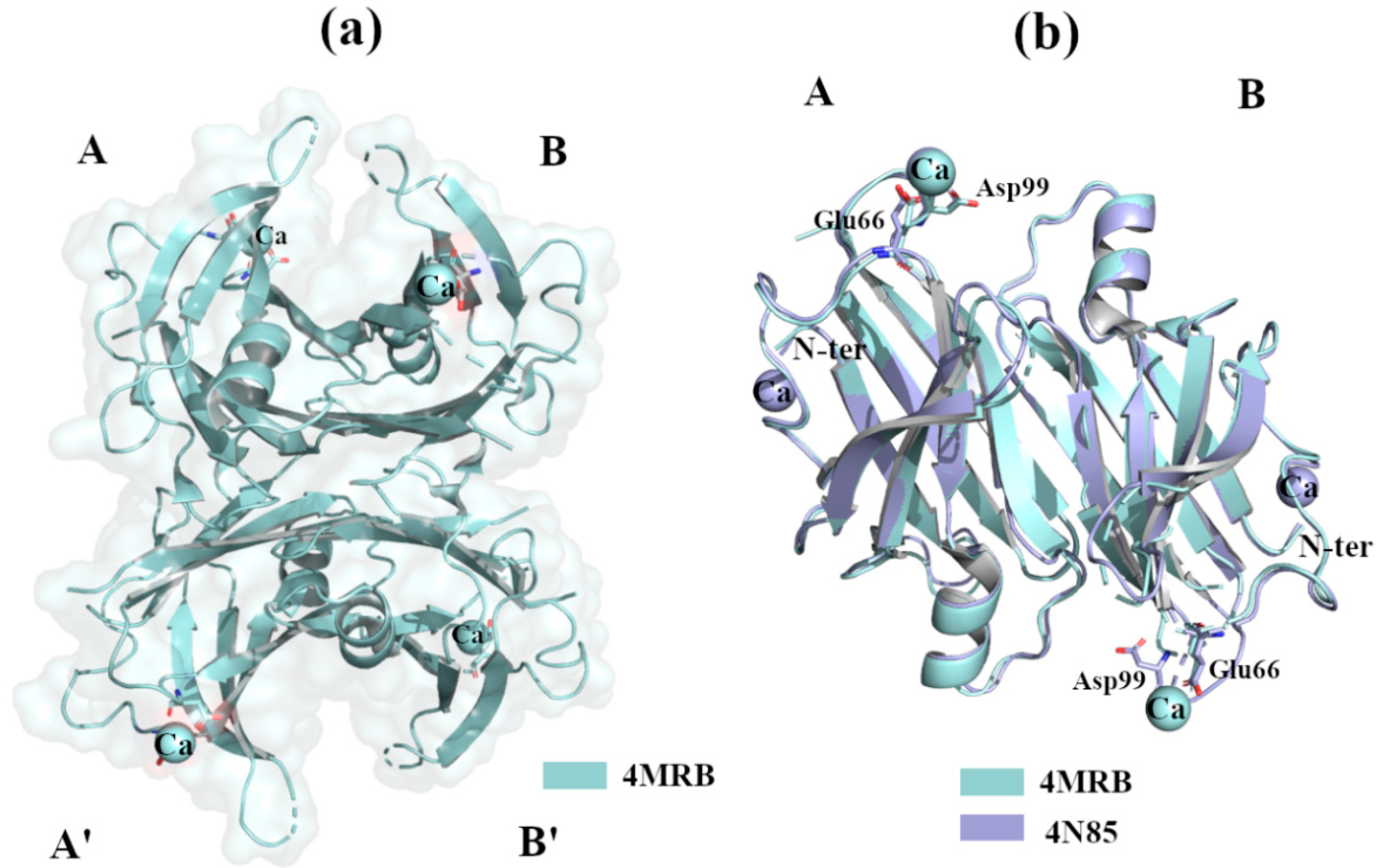Crystals 11 00354 g005
